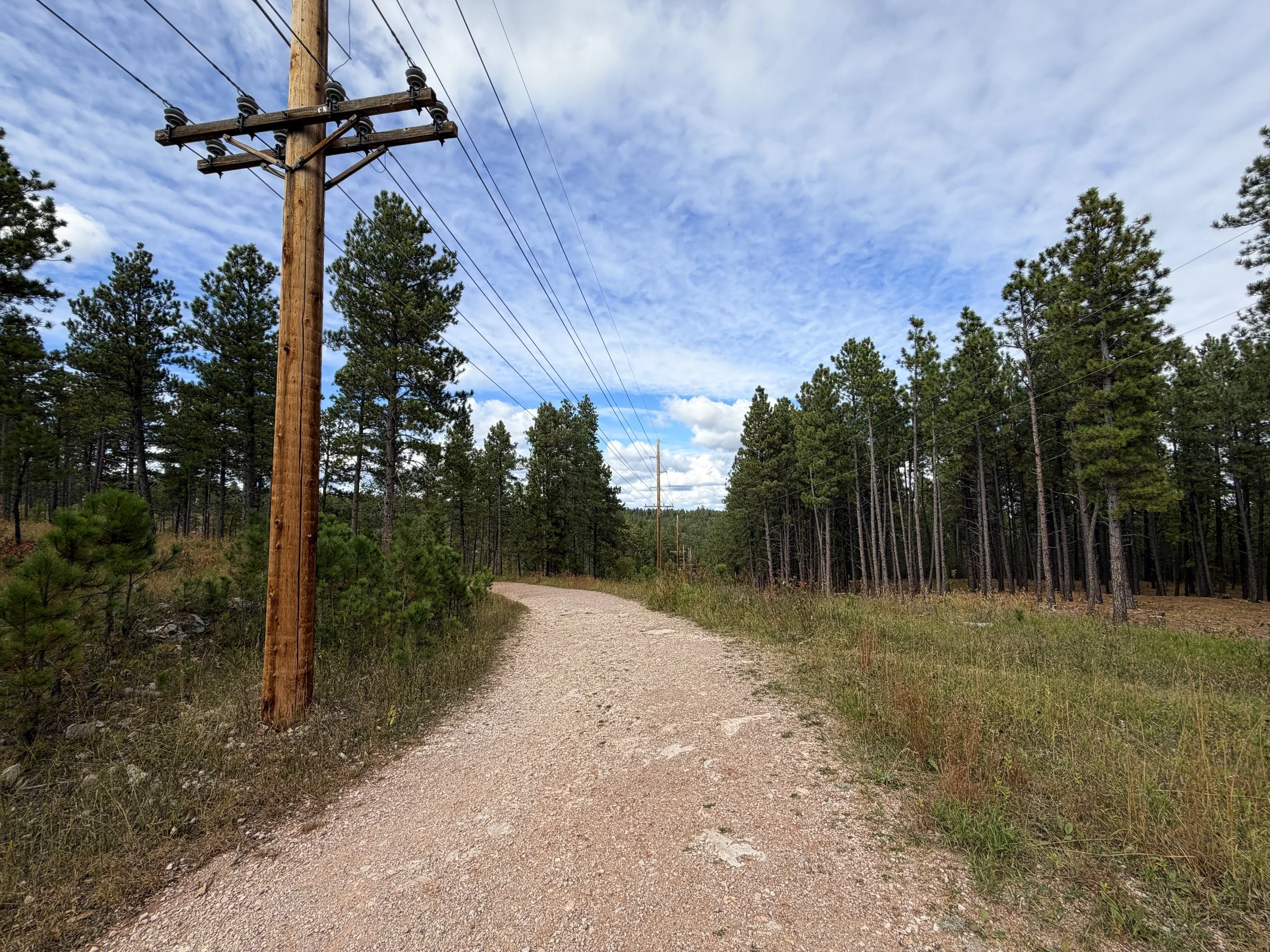 Stratobowl Rim Trail Black Hills South Dakota