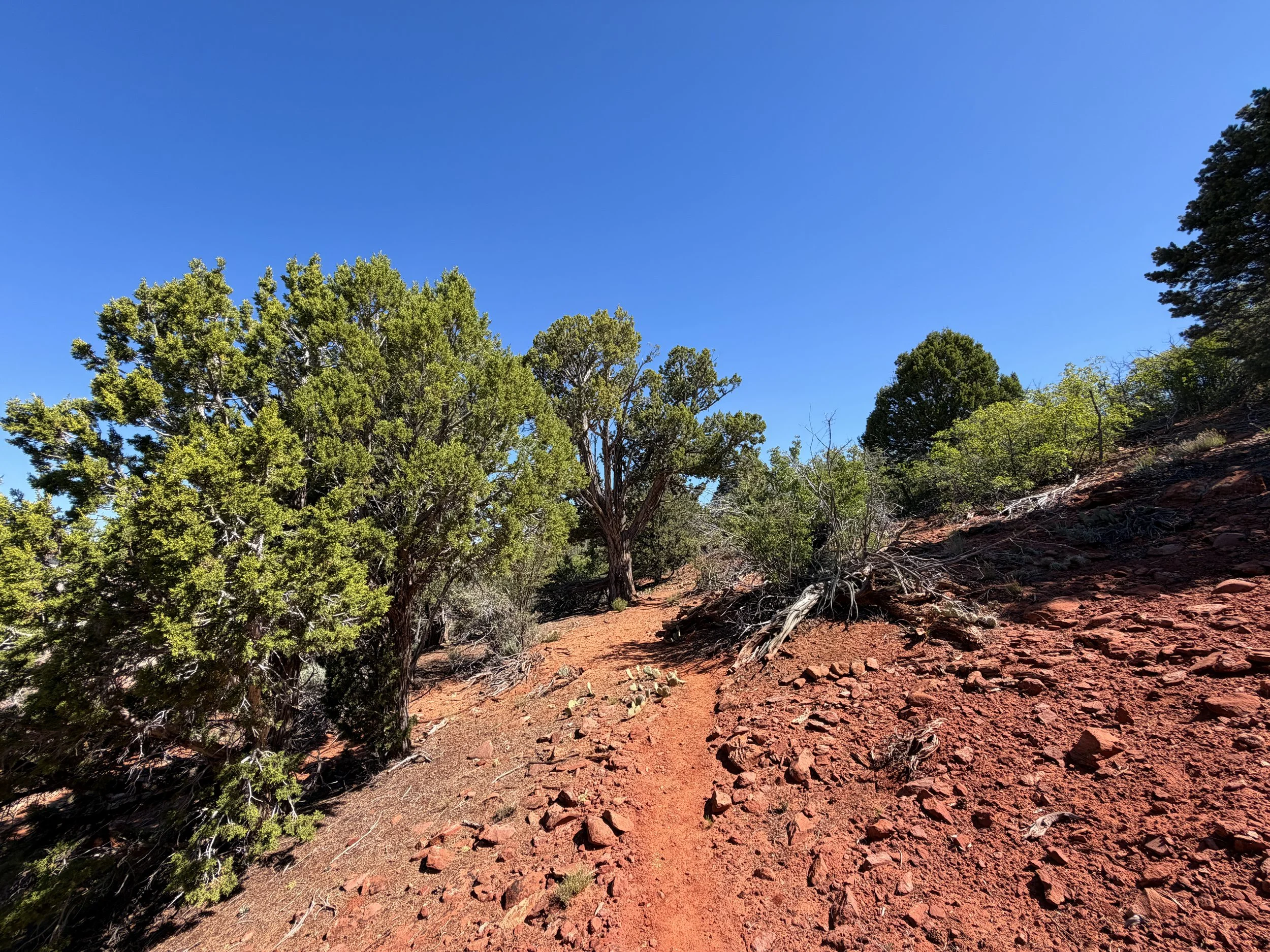 Deertrap Mountain Trail Zion National Park Utah