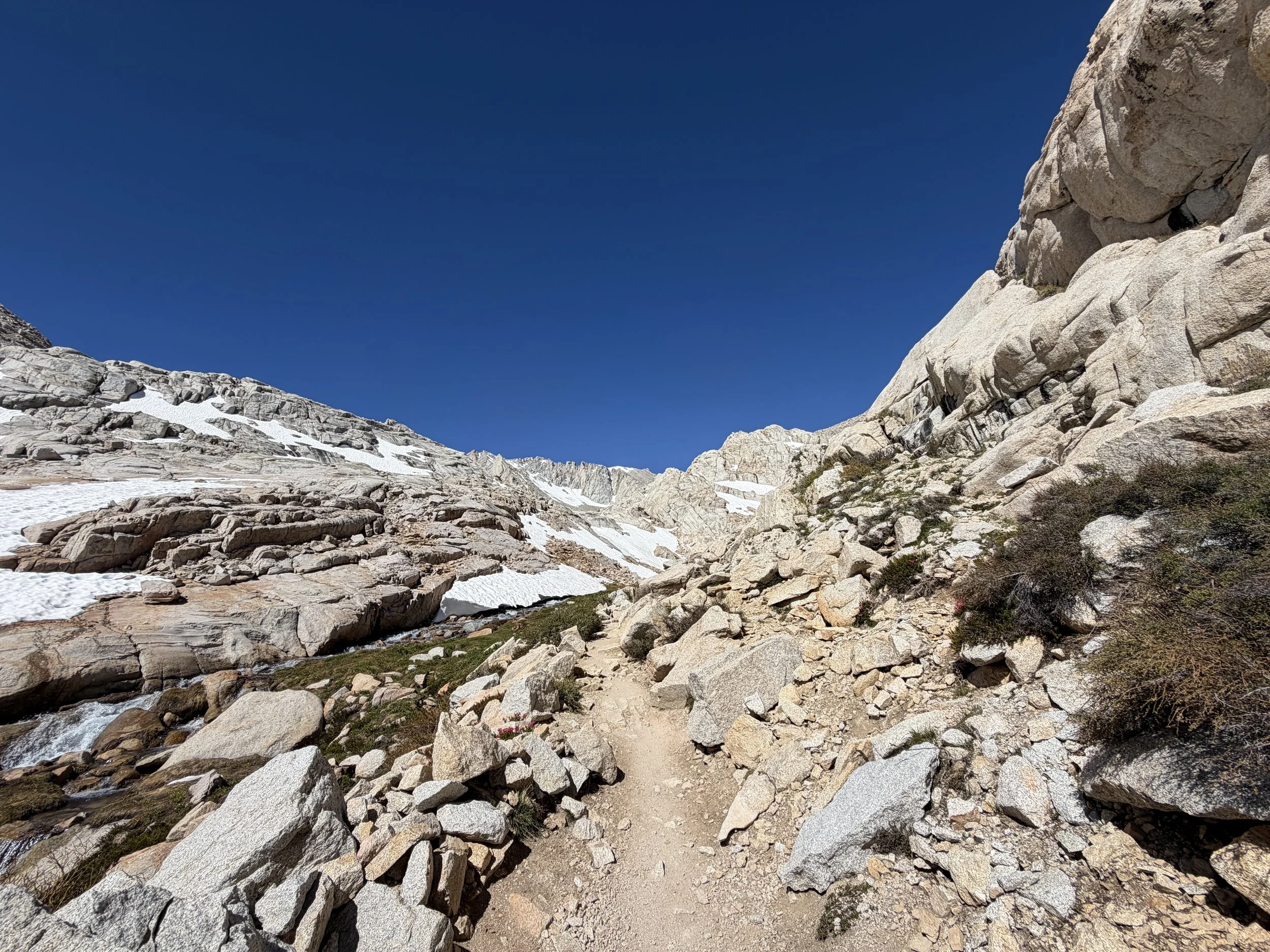 Trailside Meadow Mt. Whitney Trail via Lone Pine California