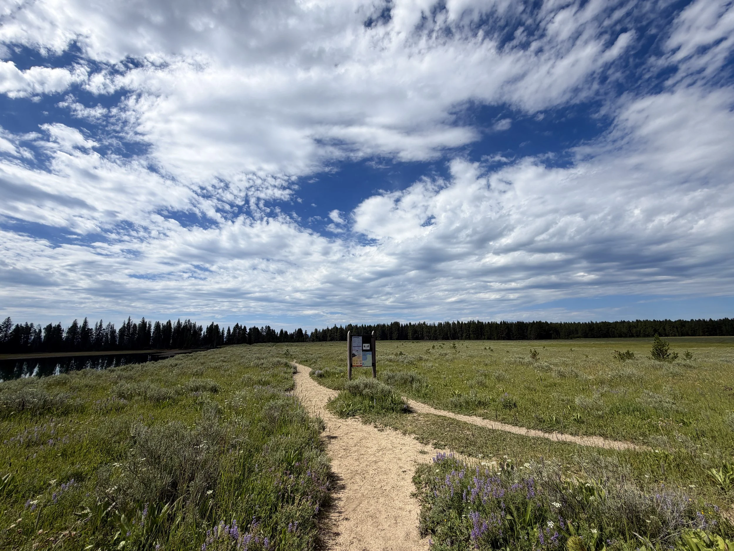 Storm Point Trailhead Yellowstone National Park Wyoming