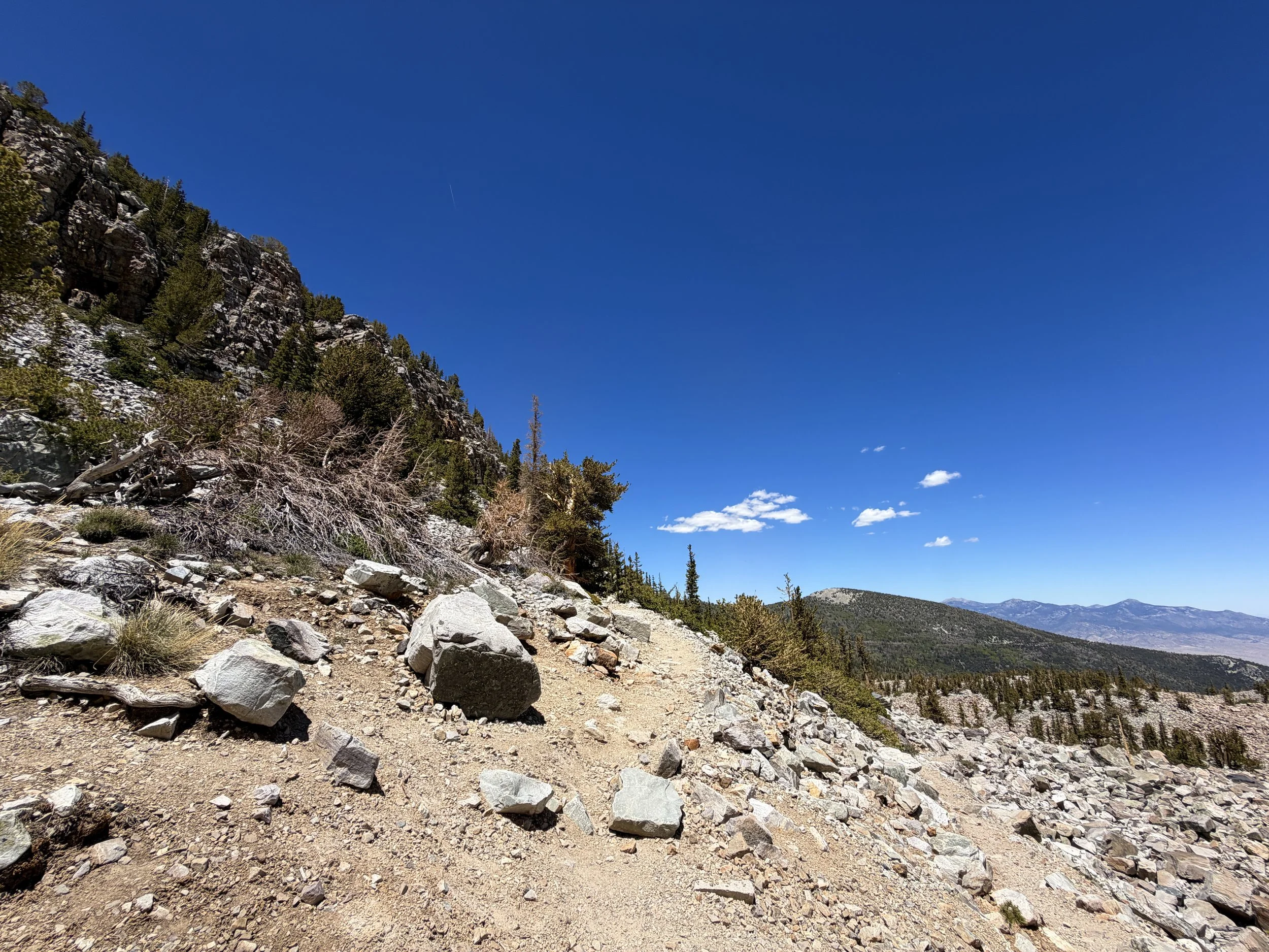 Glacier Trail Great Basin National Park Nevada
