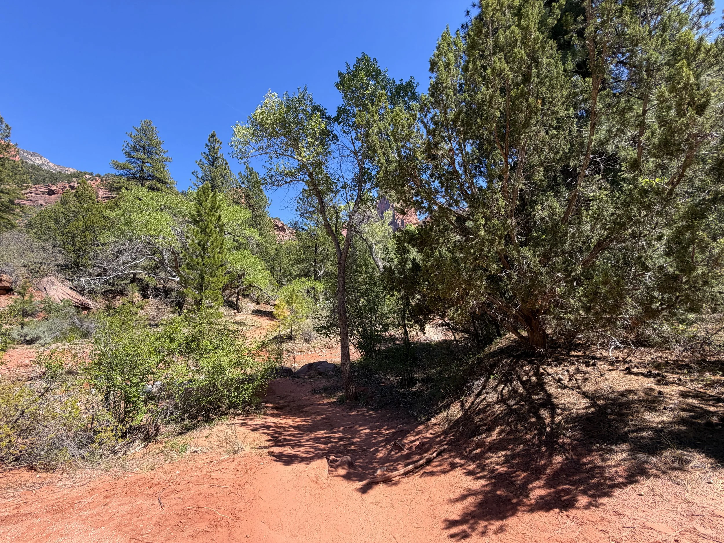 Middle Taylor Creek Trail Zion National Park Utah