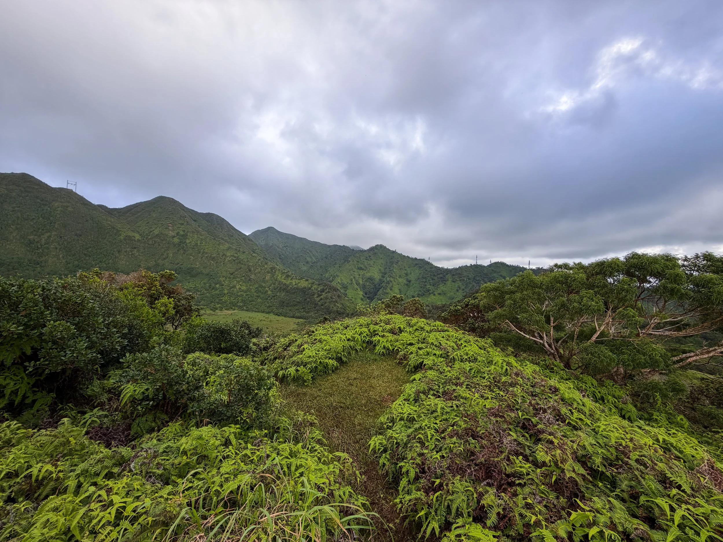 Kaau Crater Loop Hike Oahu Hawaii