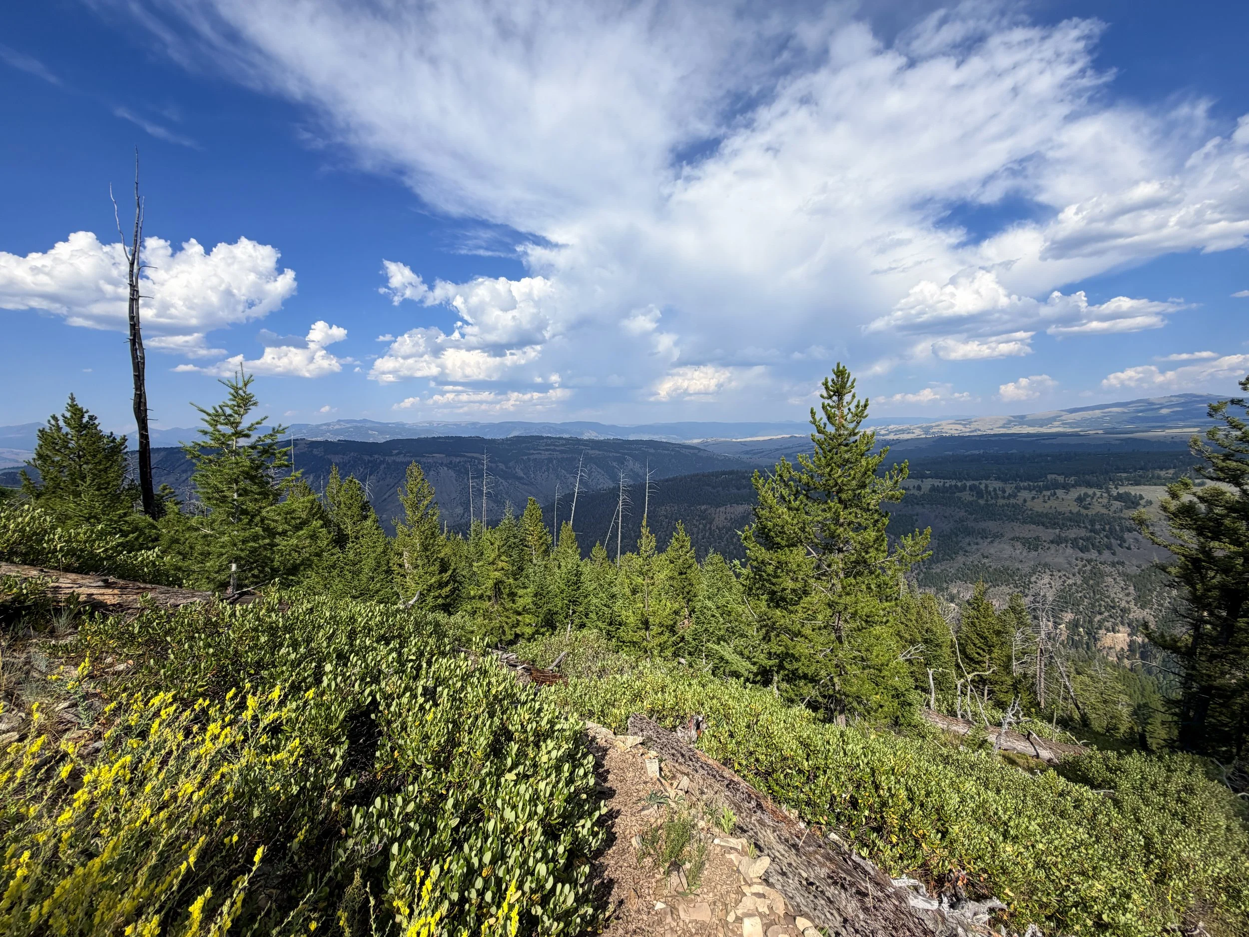Bunsen Peak Hike Yellowstone National Park Wyoming