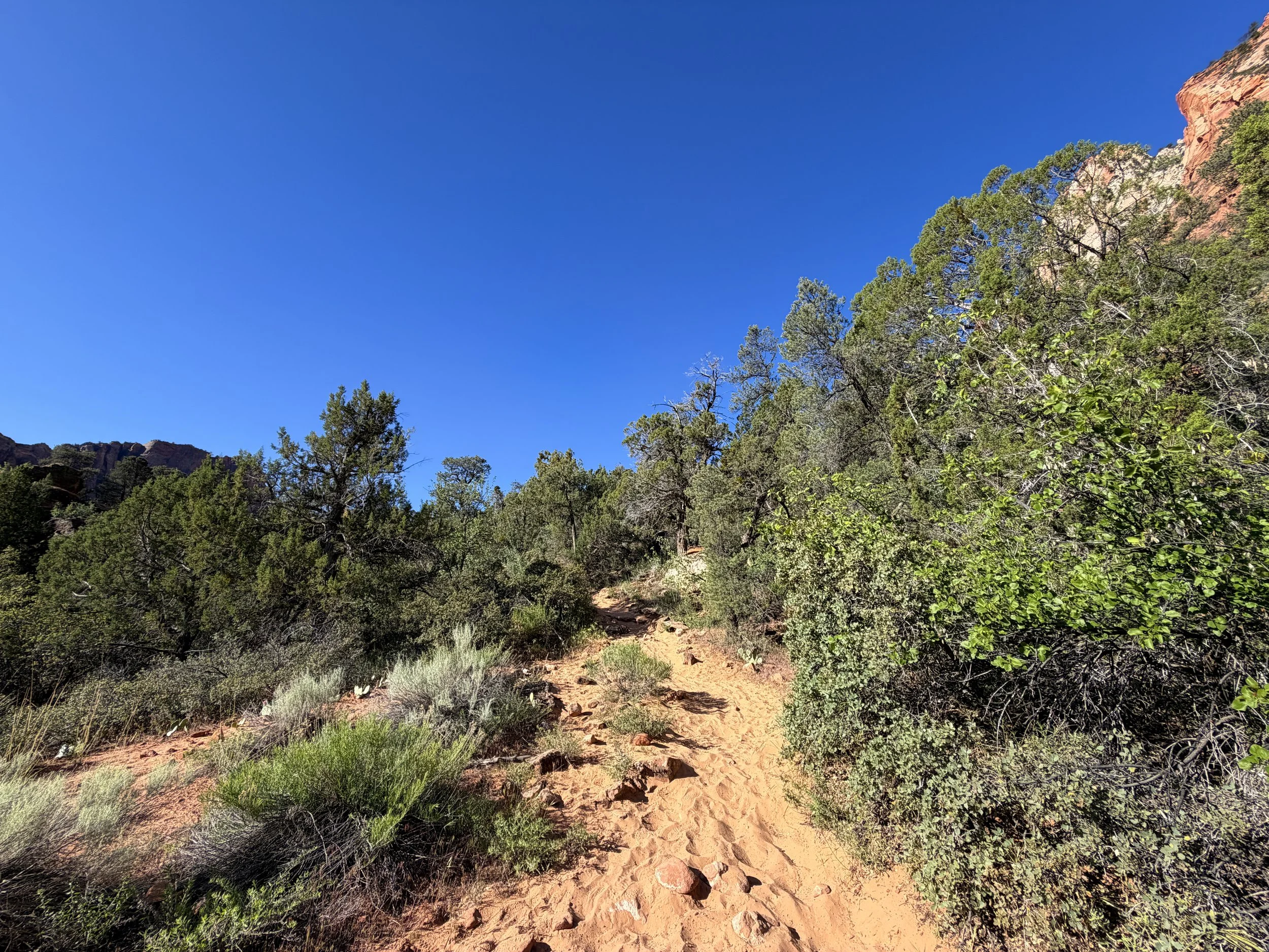 Sand Bench Loop Trail Zion National Park Utah