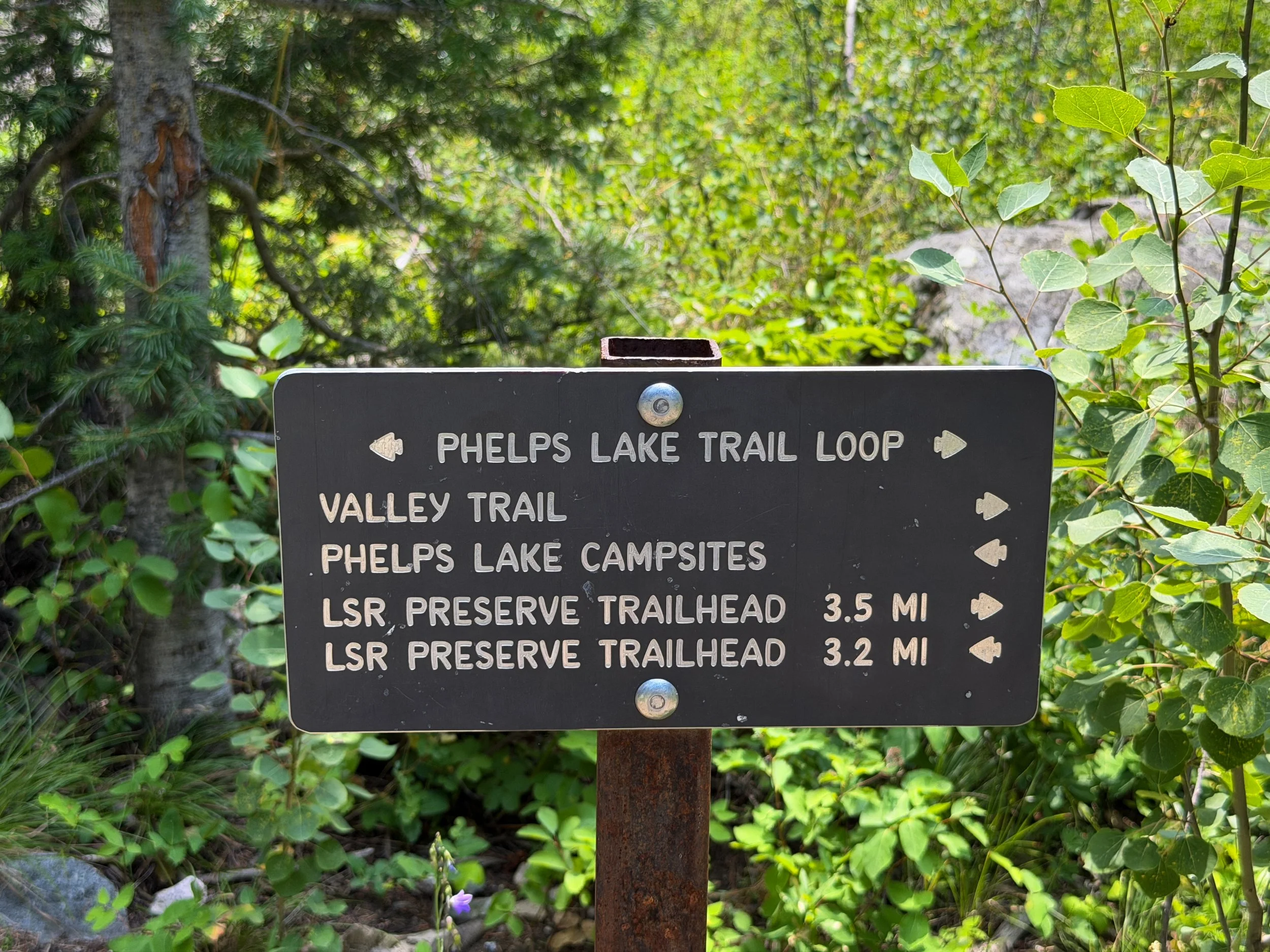 Phelps Lake Loop Trail Grand Teton National Park Wyoming