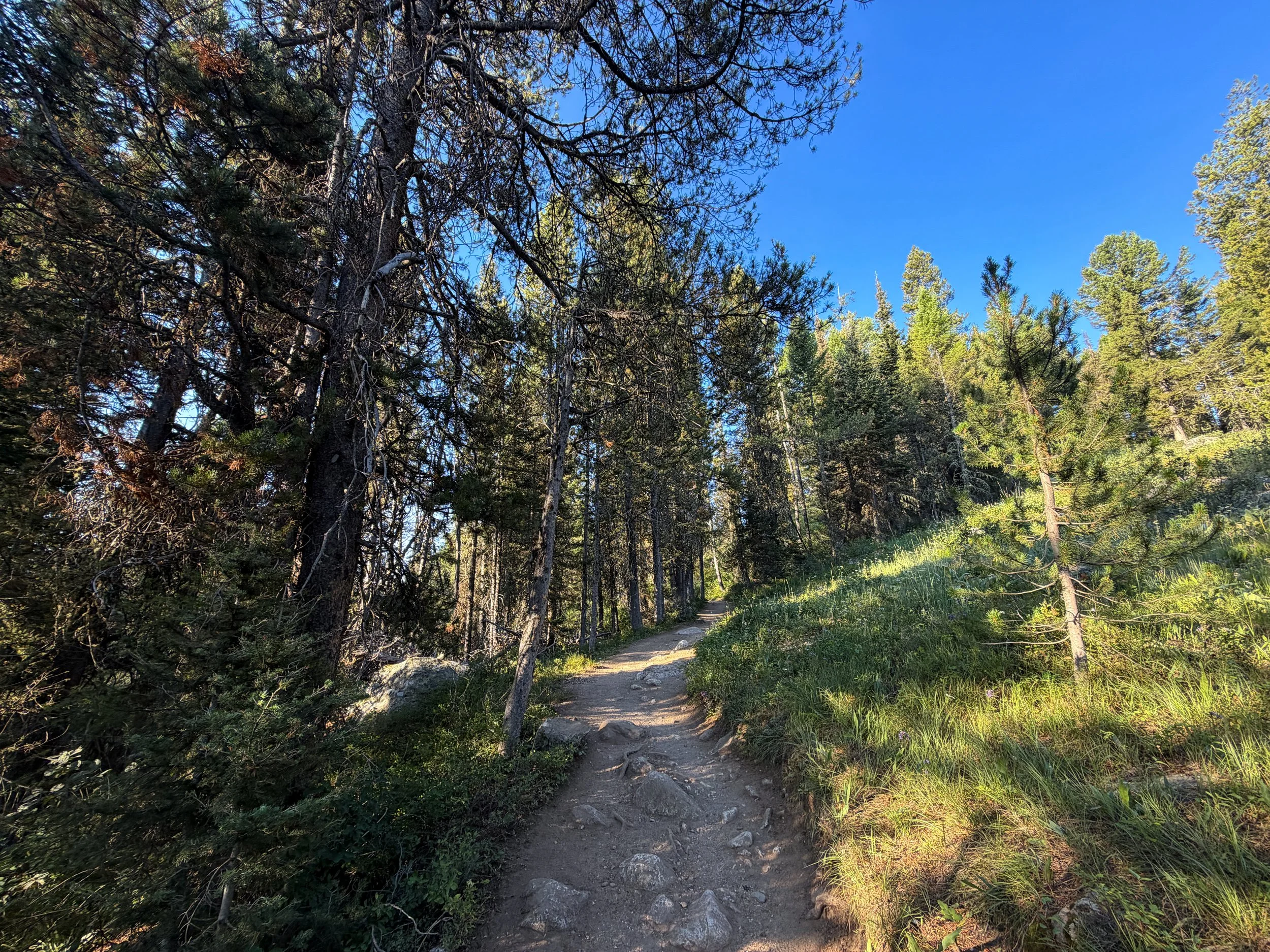 Delta Lake Trail via Lupine Meadows Grand Teton National Park Wyoming