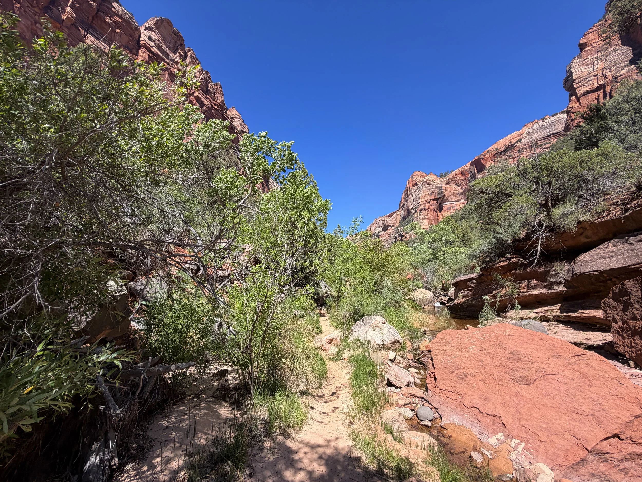 Subway Trail via Left Fork of the North Creek Zion National Park Utah