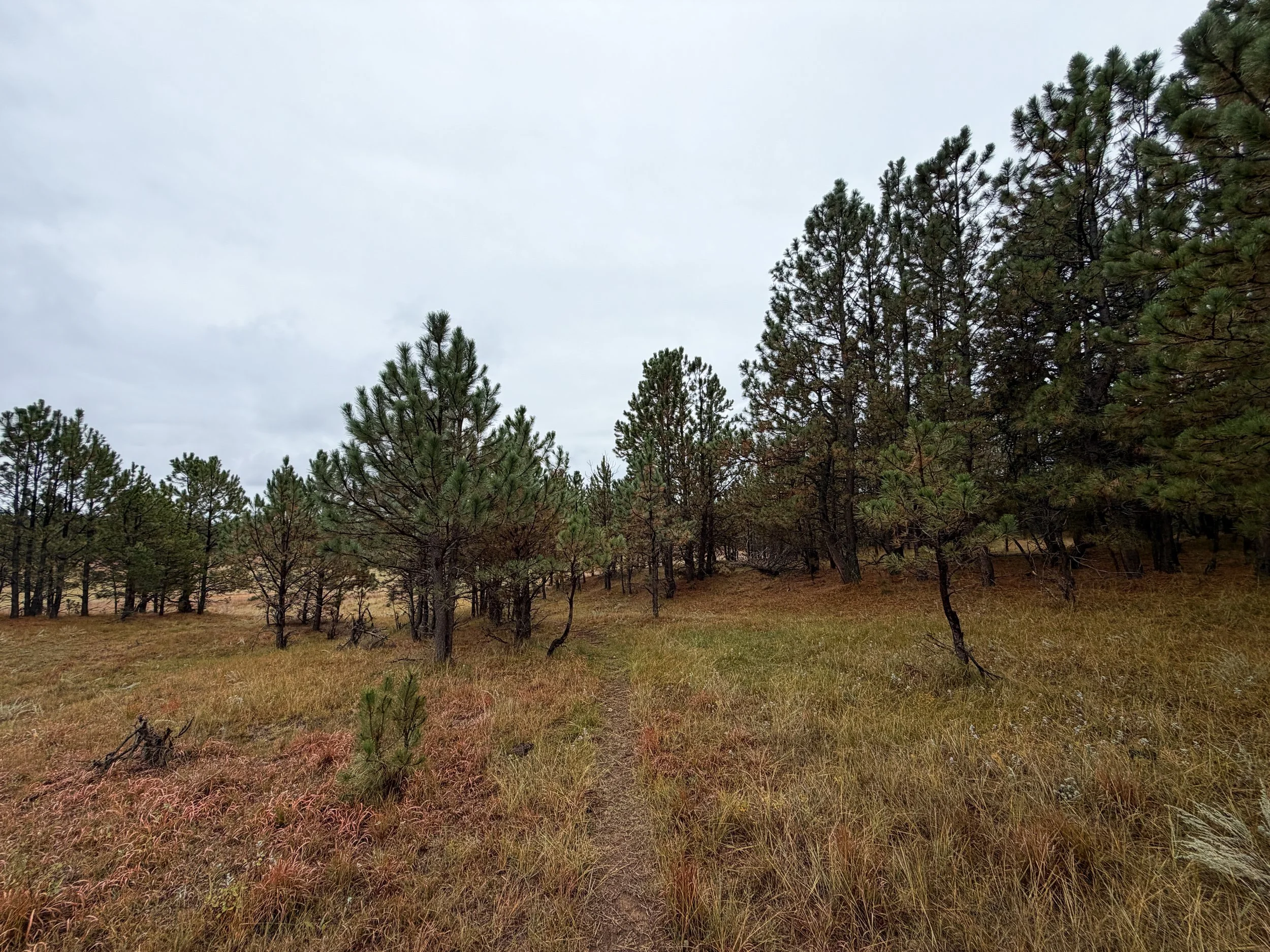 Highland Creek Hike Wind Cave National Park South Dakota