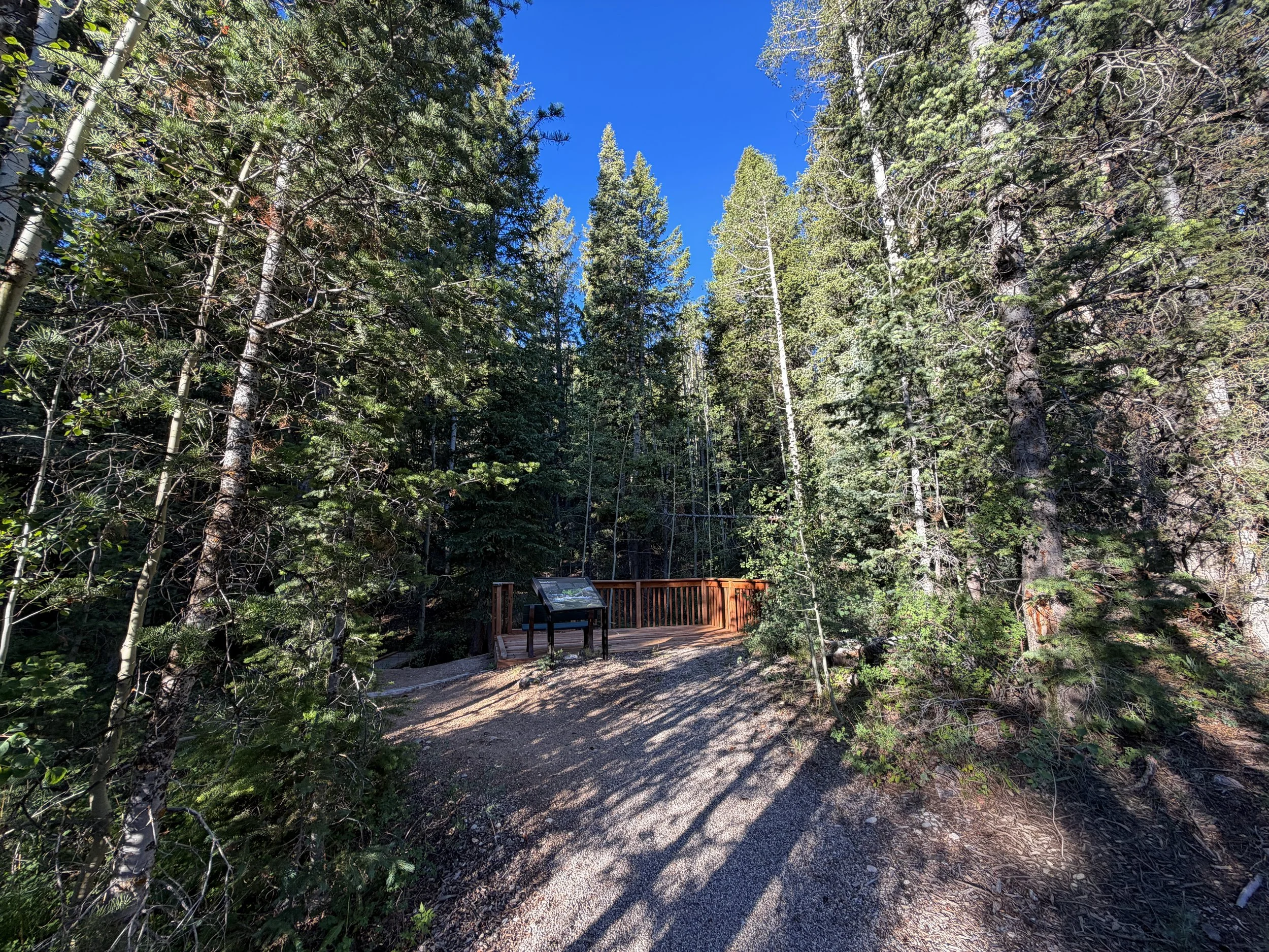 Snake Divide Trail Great Basin National Park Nevada