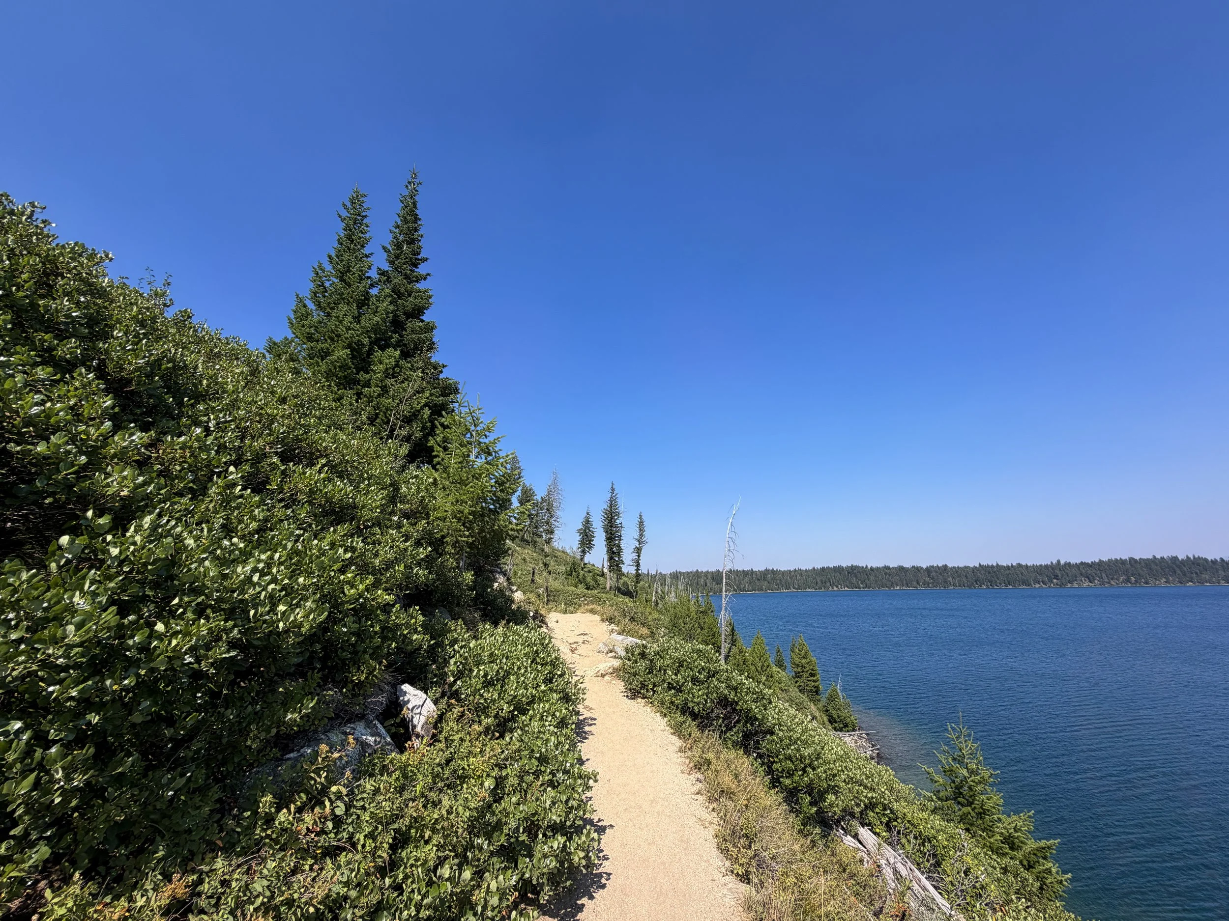 Jenny Lake Loop Trail Grand Teton National Park Wyoming