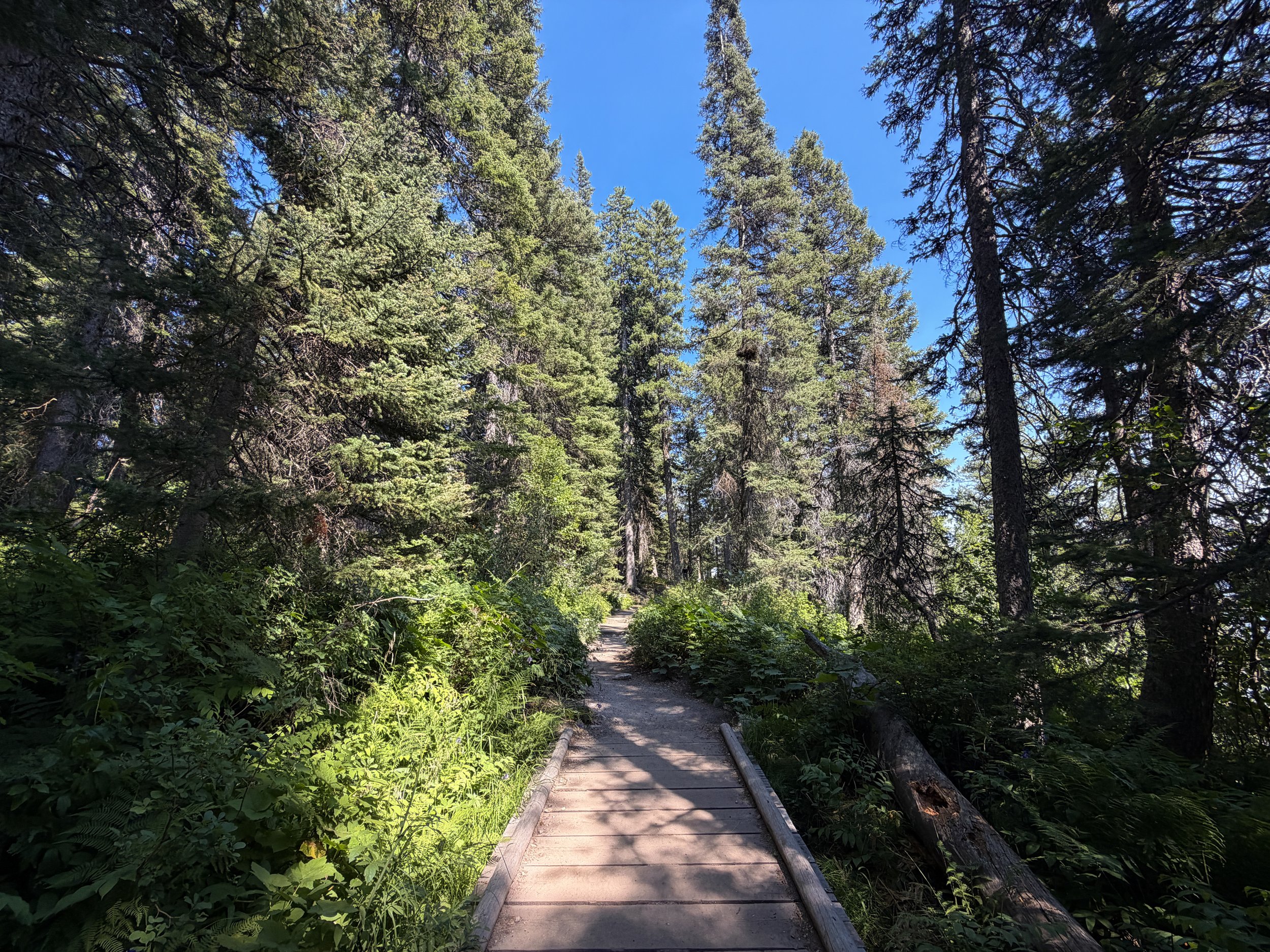 Jenny Lake Loop Trail Grand Teton National Park Wyoming