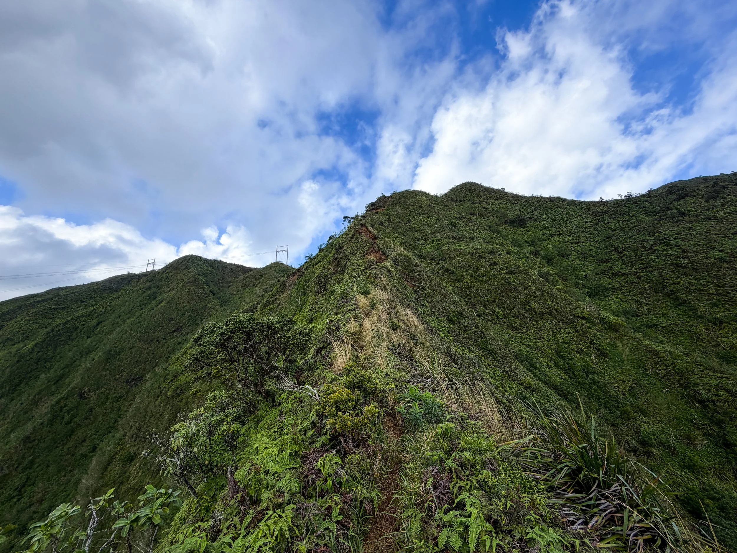 Kaau Crater Trail Oahu Hawaii