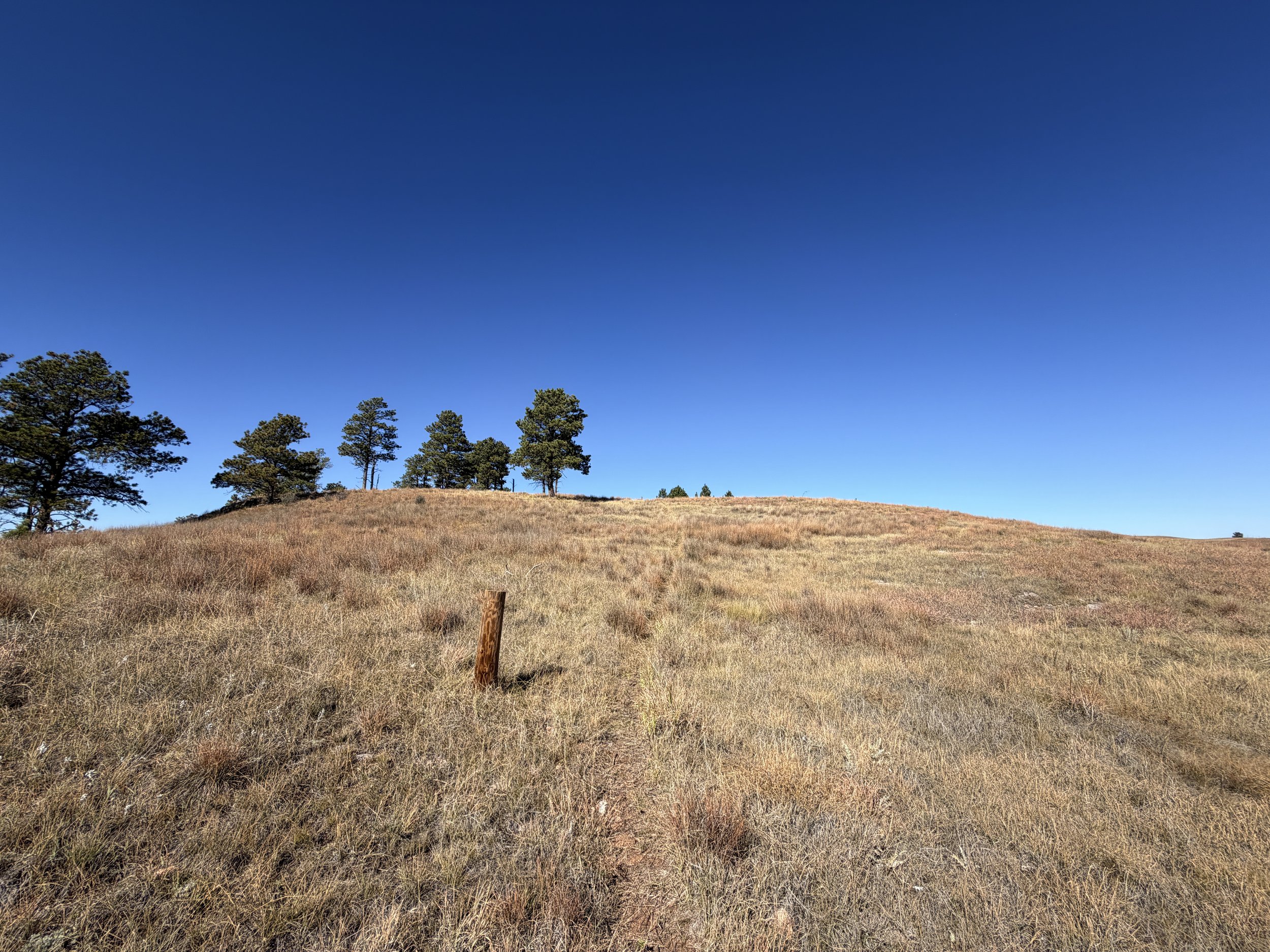 East Bison Flats Hike Wind Cave National Park South Dakota