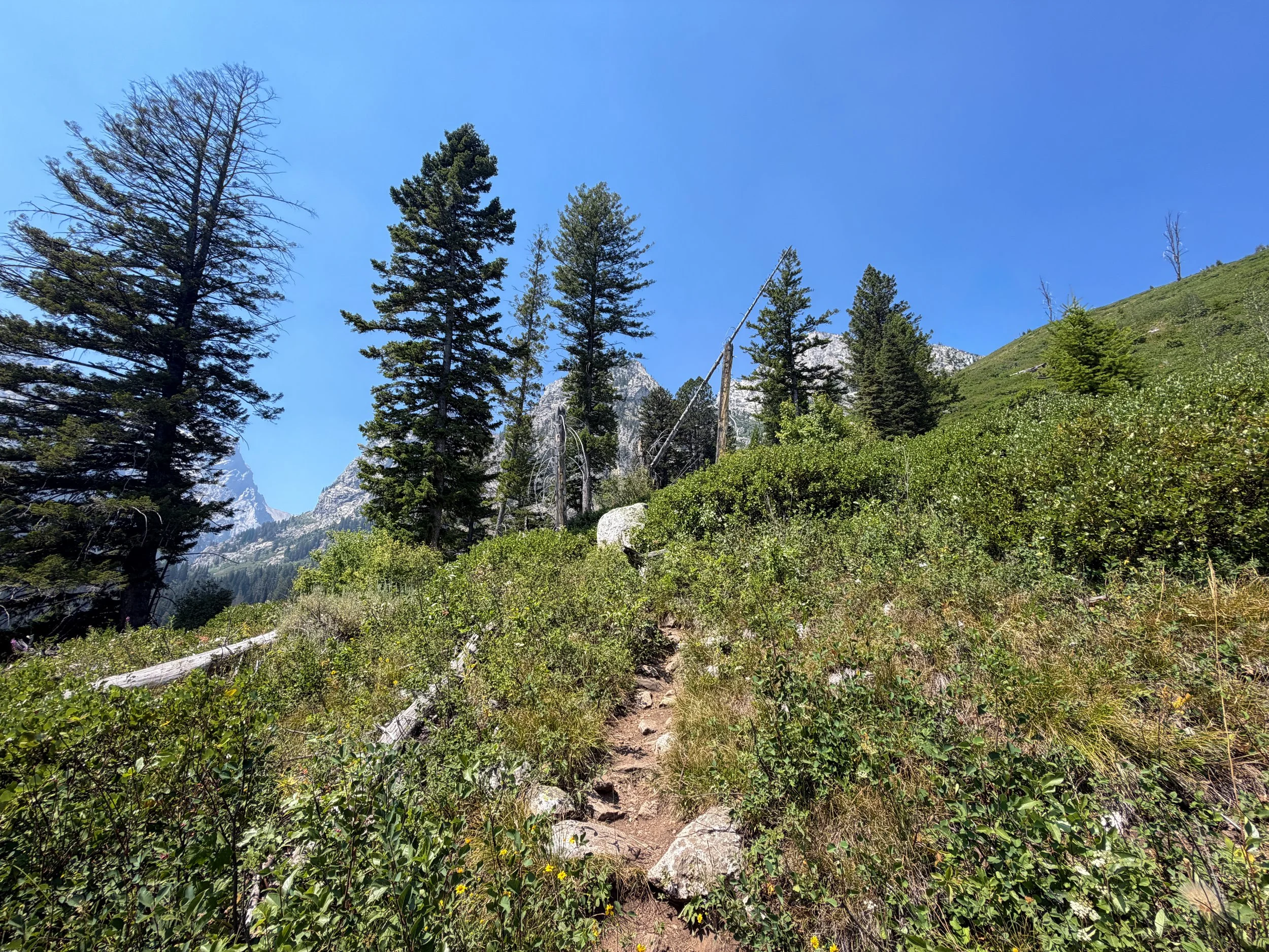 Lake of the Crags Trail Grand Teton National Park Wyoming