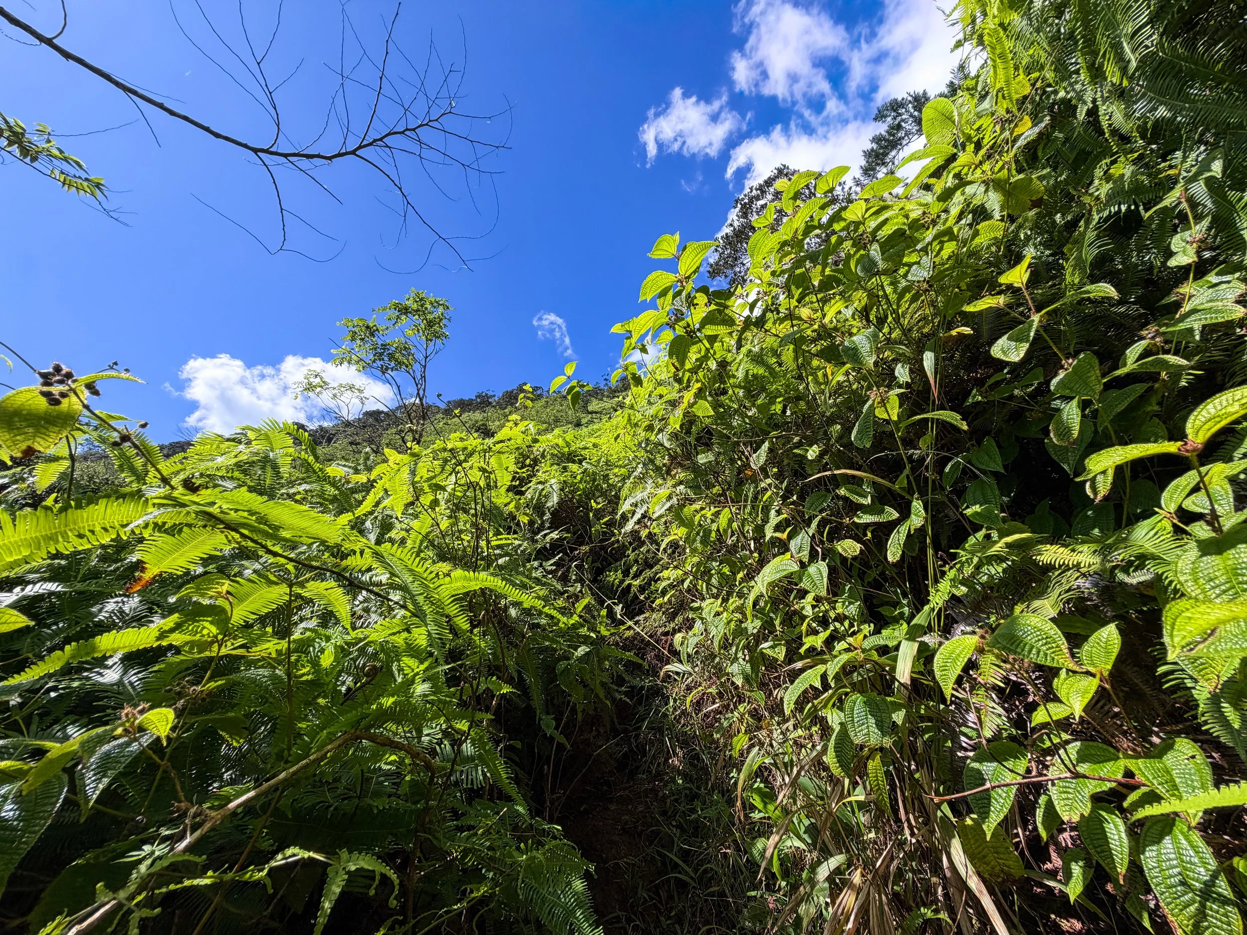 Third Waterfall Climb Kaau Crater Trail Oahu Hawaii
