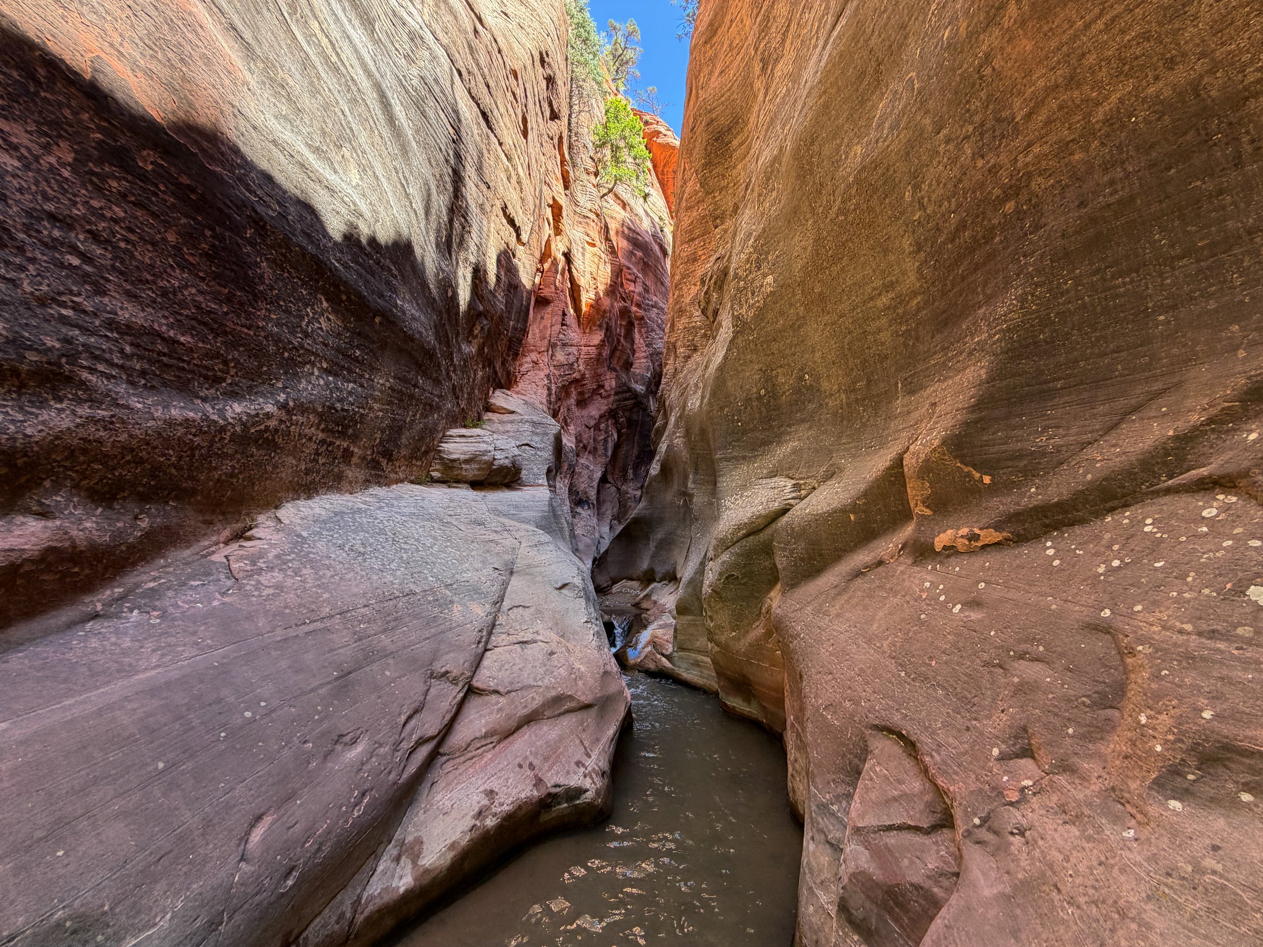 Kanarra Falls Trail Narrows Kanarraville Utah
