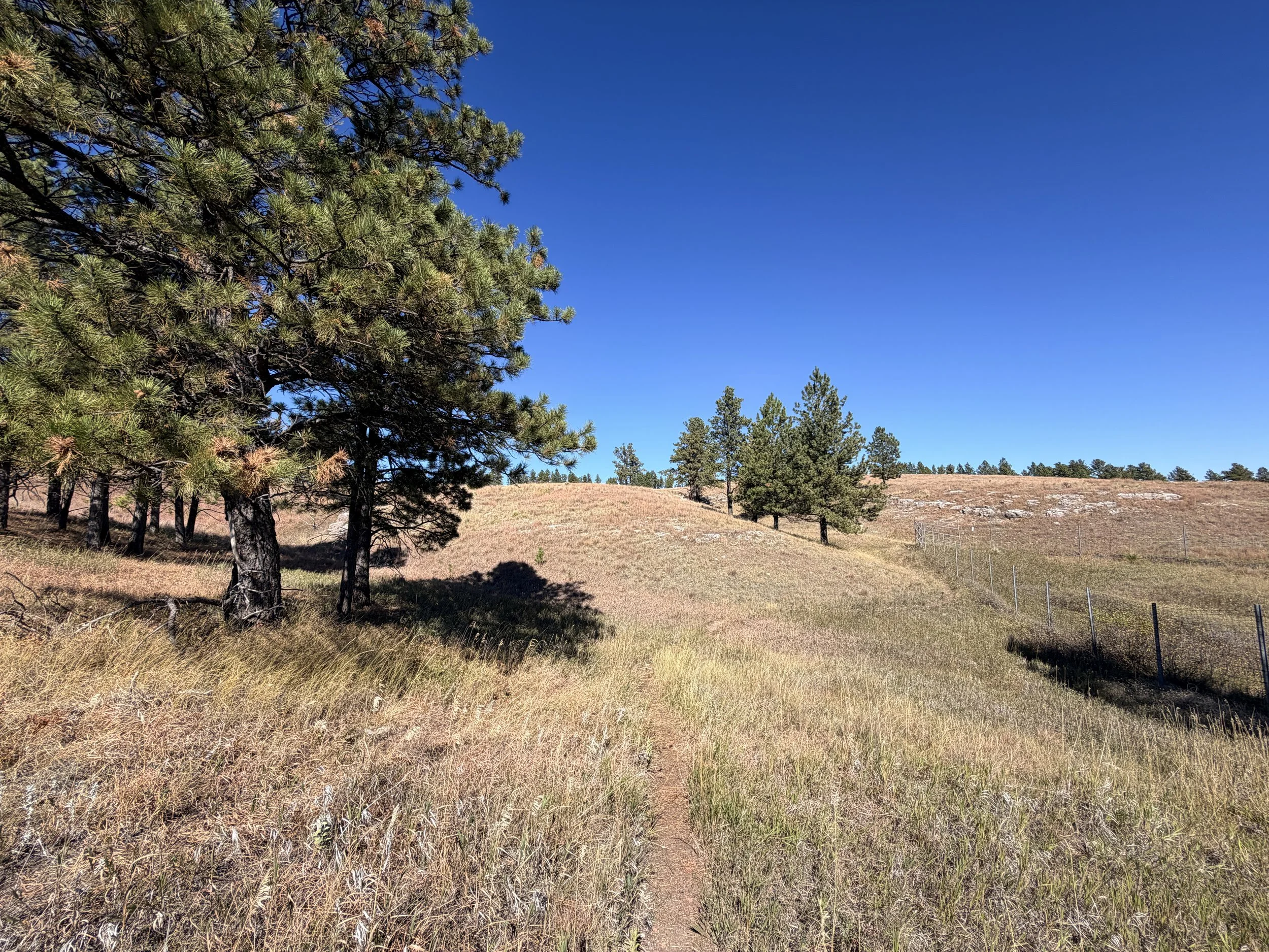 East Bison Flats Trail Wind Cave National Park South Dakota