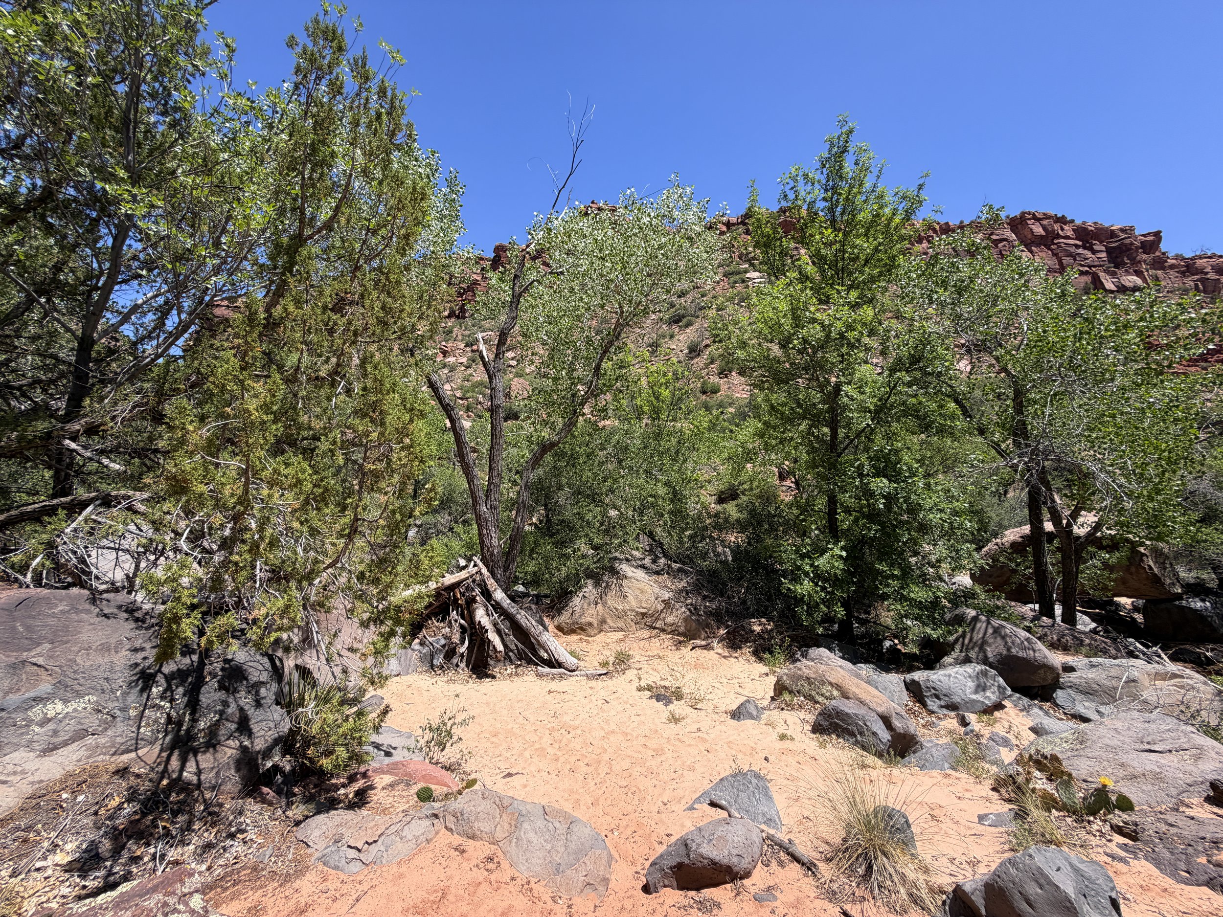 Grapevine Trail to Left Fork Falls Zion National Park Utah