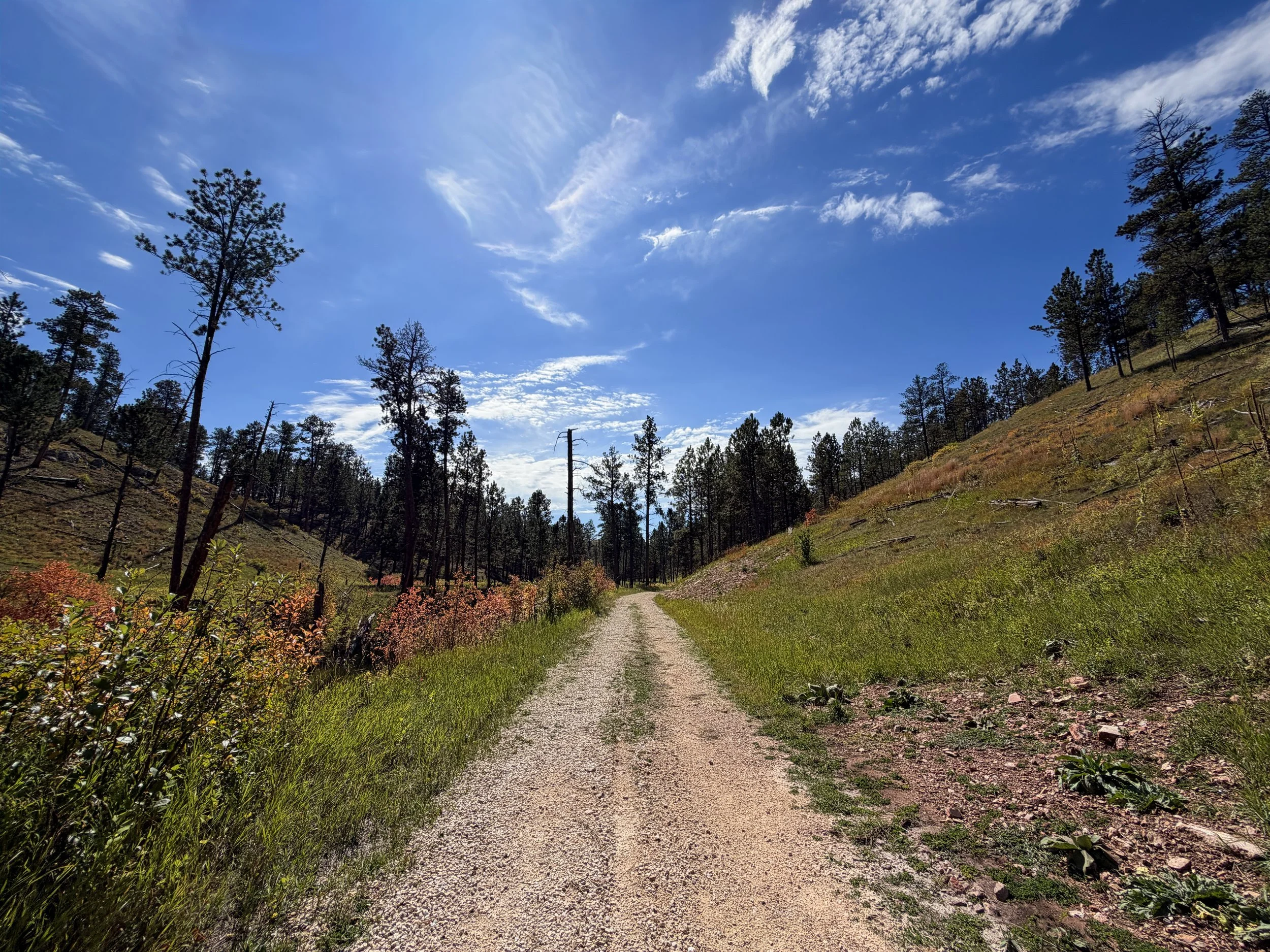 Canyons Trail Jewel Cave National Monument Black Hills South Dakota