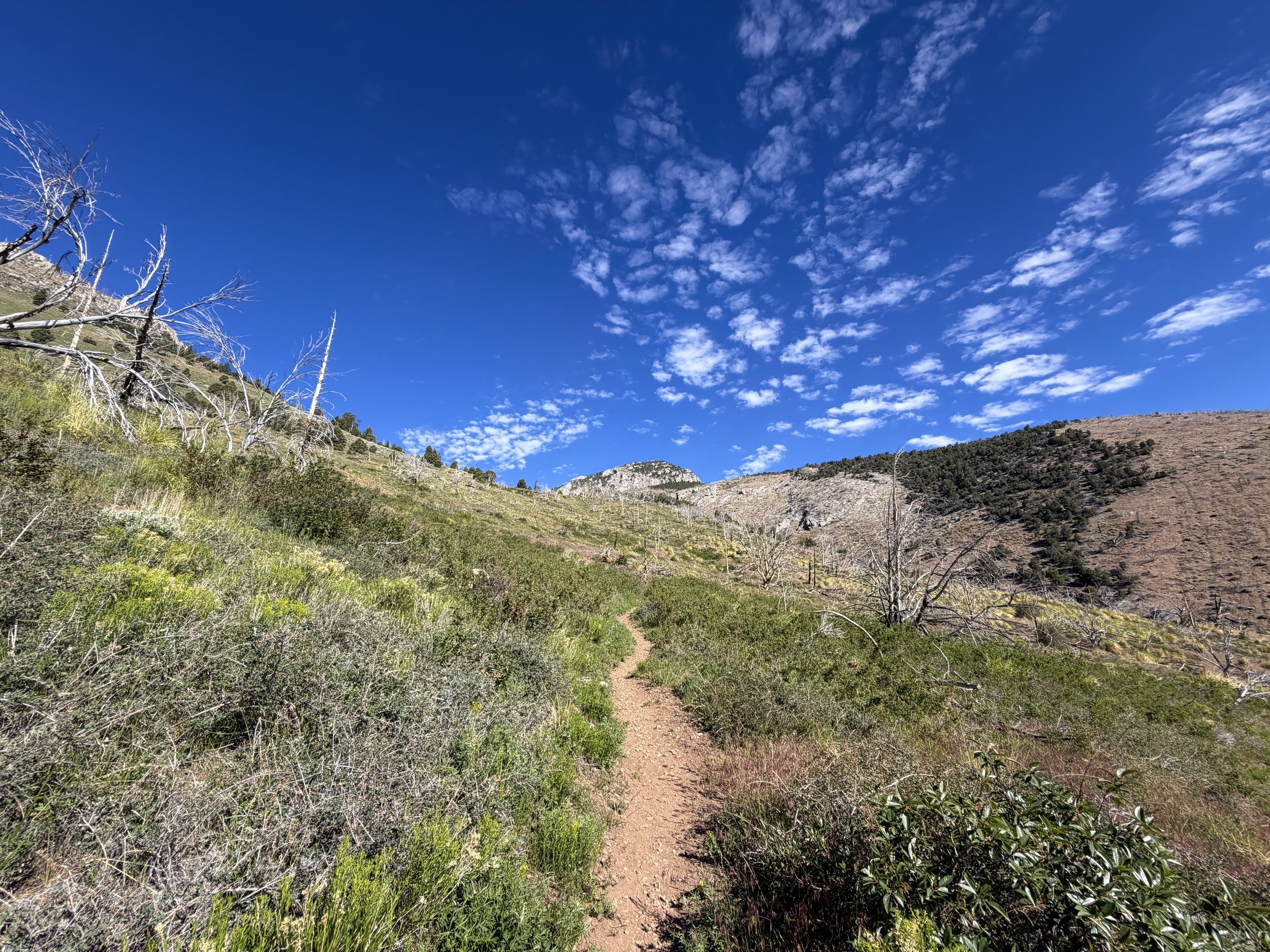Lexington Arch Trail Great Basin National Park Nevada