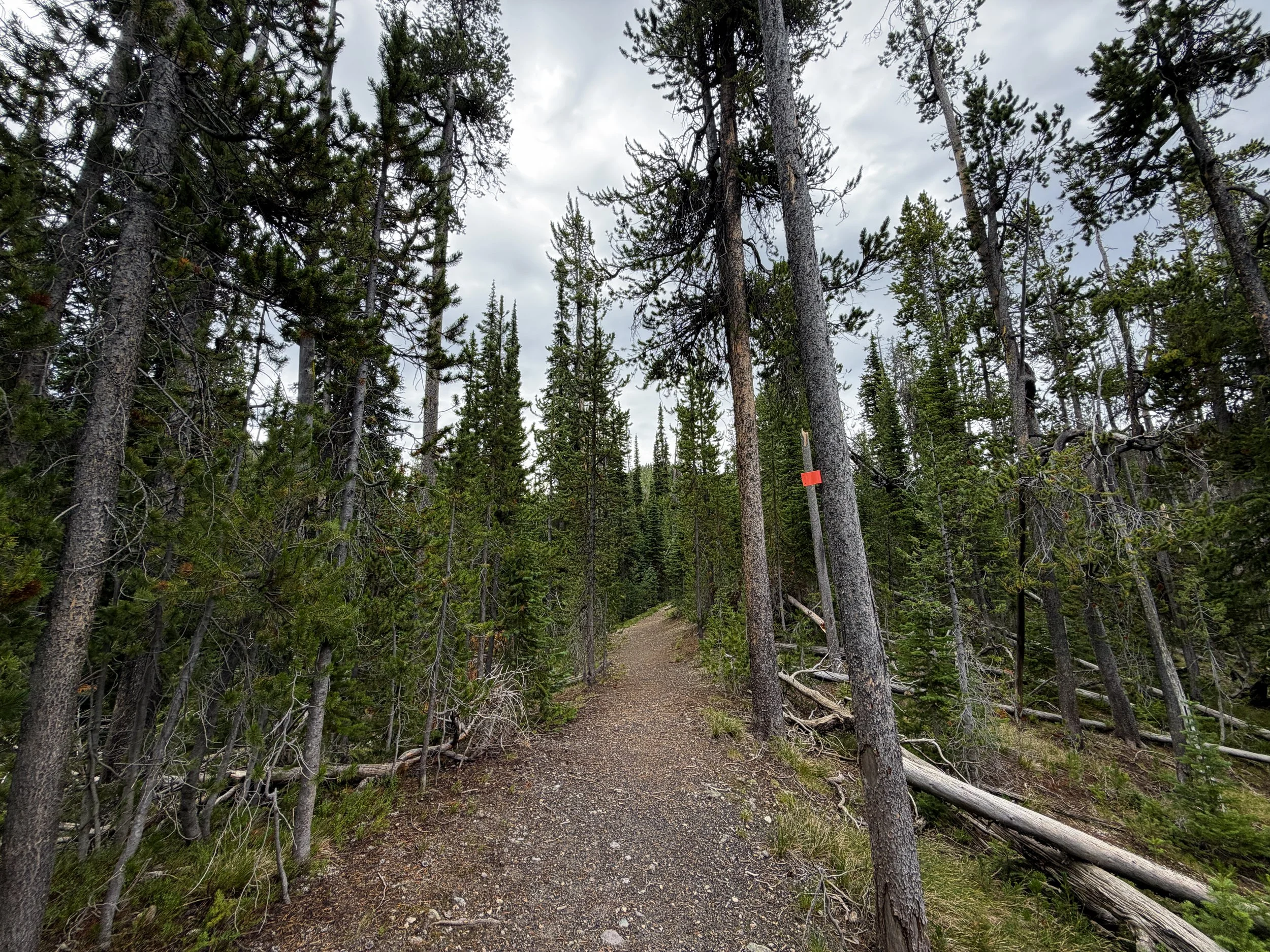 Divide Mountain Trail Yellowstone National Park Wyoming