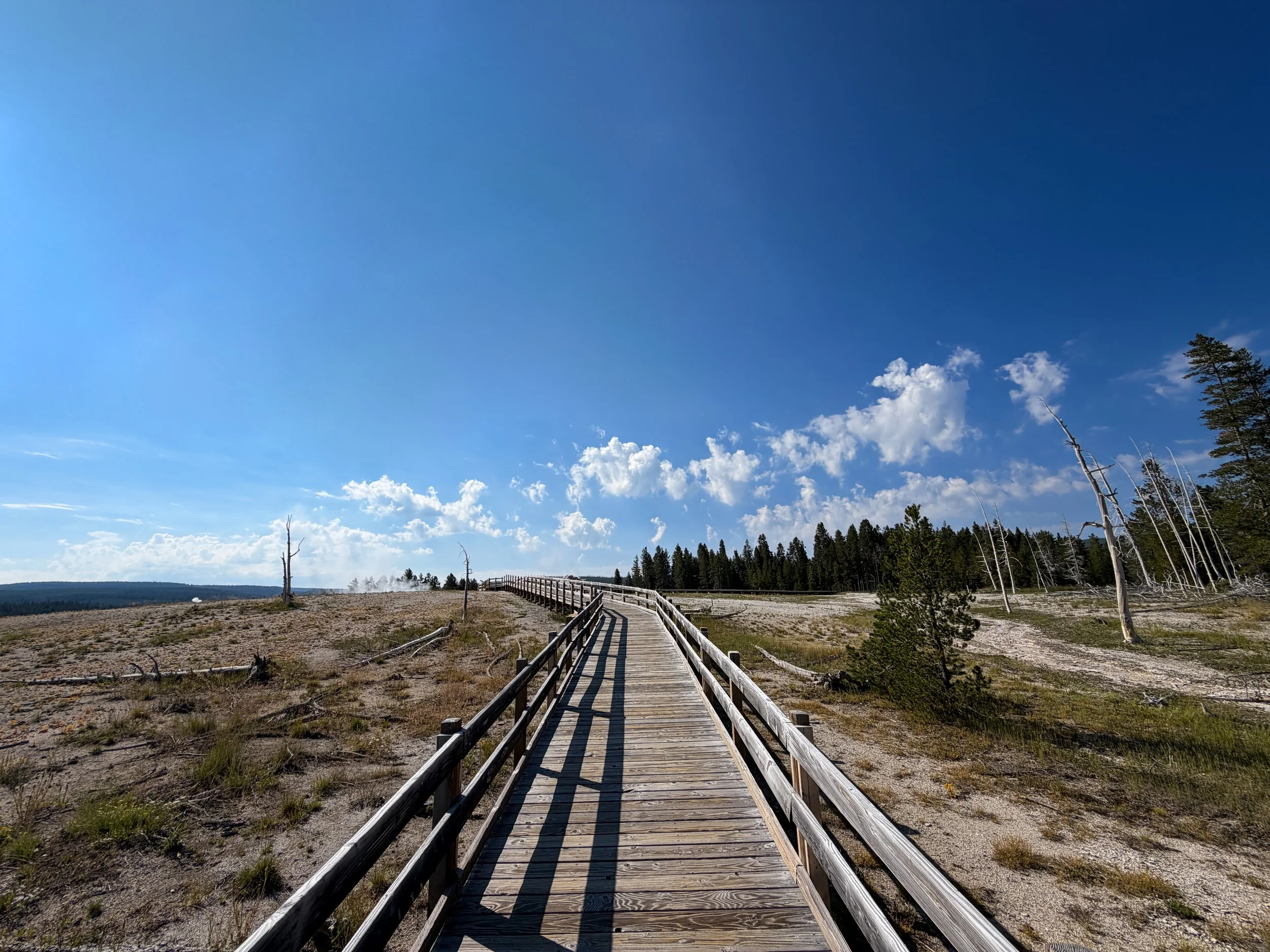 Upper Geyser Basin Trail Yellowstone National Park Wyoming