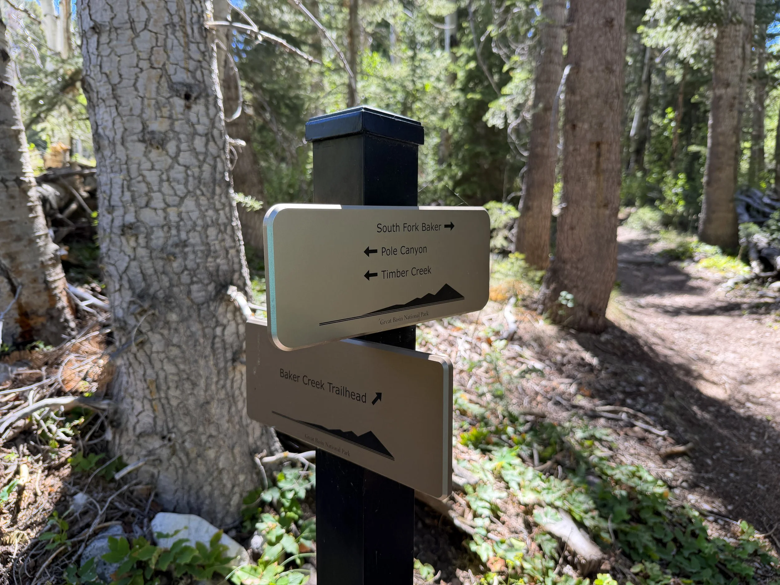 Baker Creek Loop Trail Great Basin National Park Nevada
