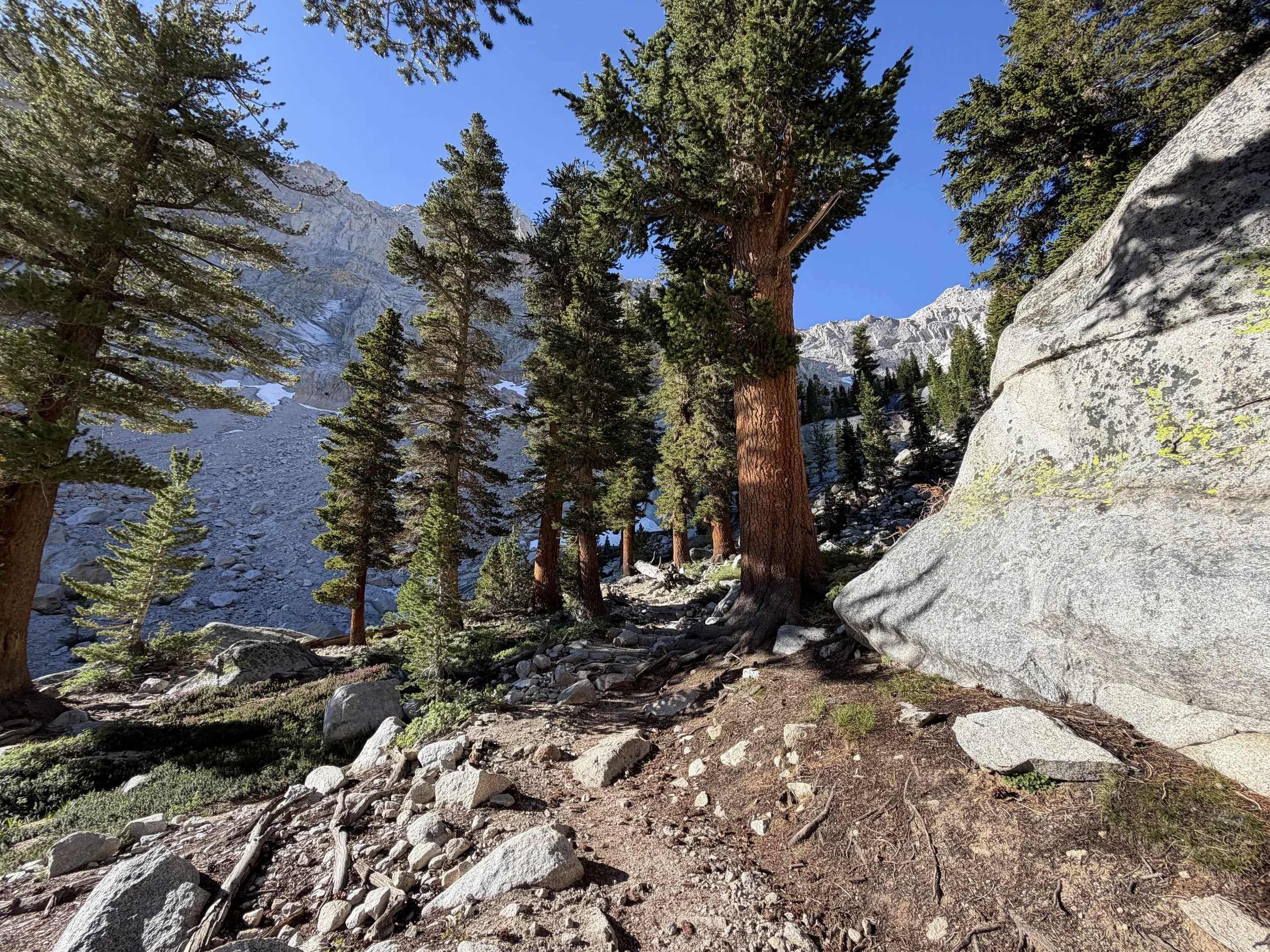 Mt. Whitney Trail California