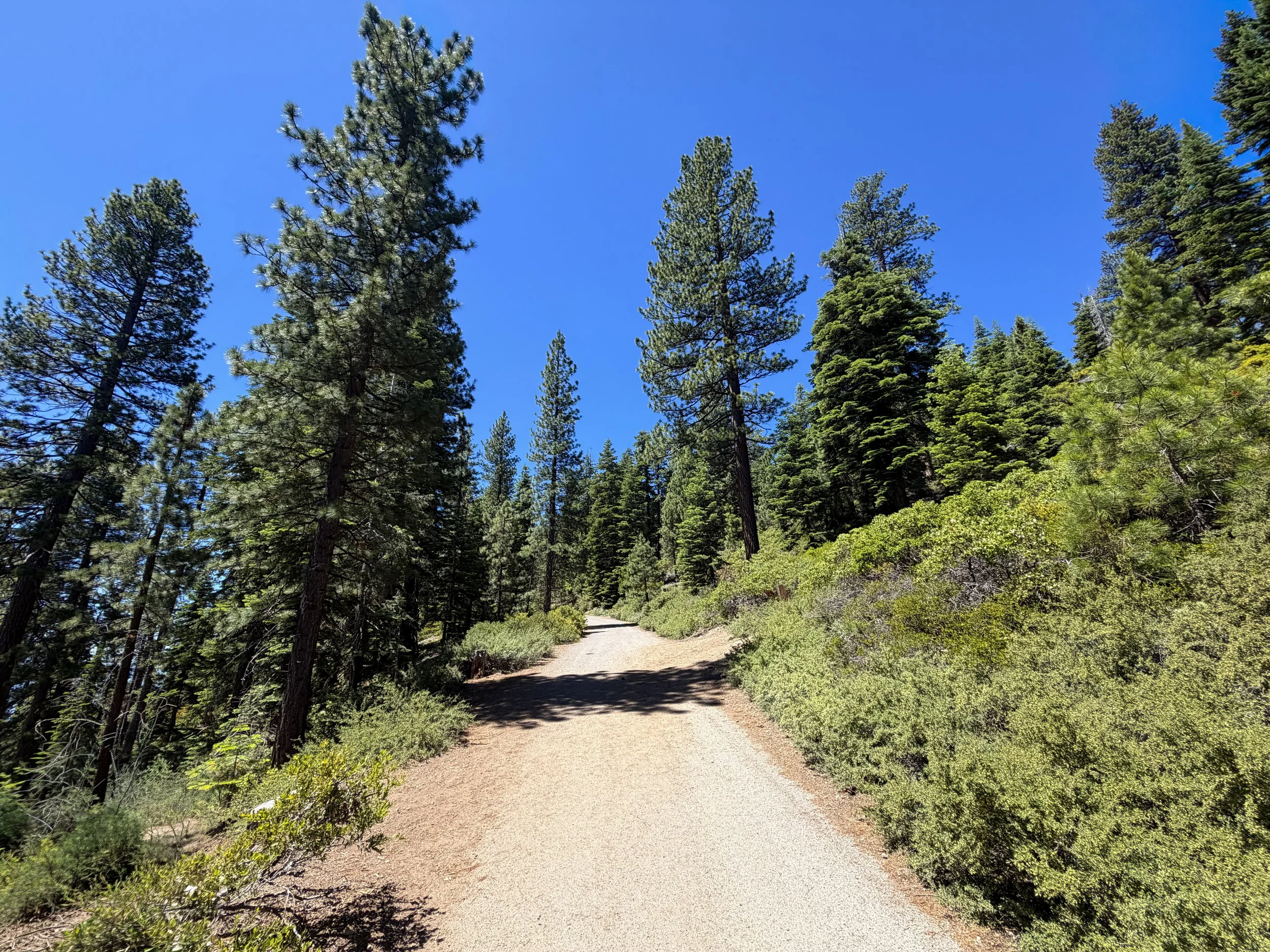 Stateline Lookout Trail Lake Tahoe California