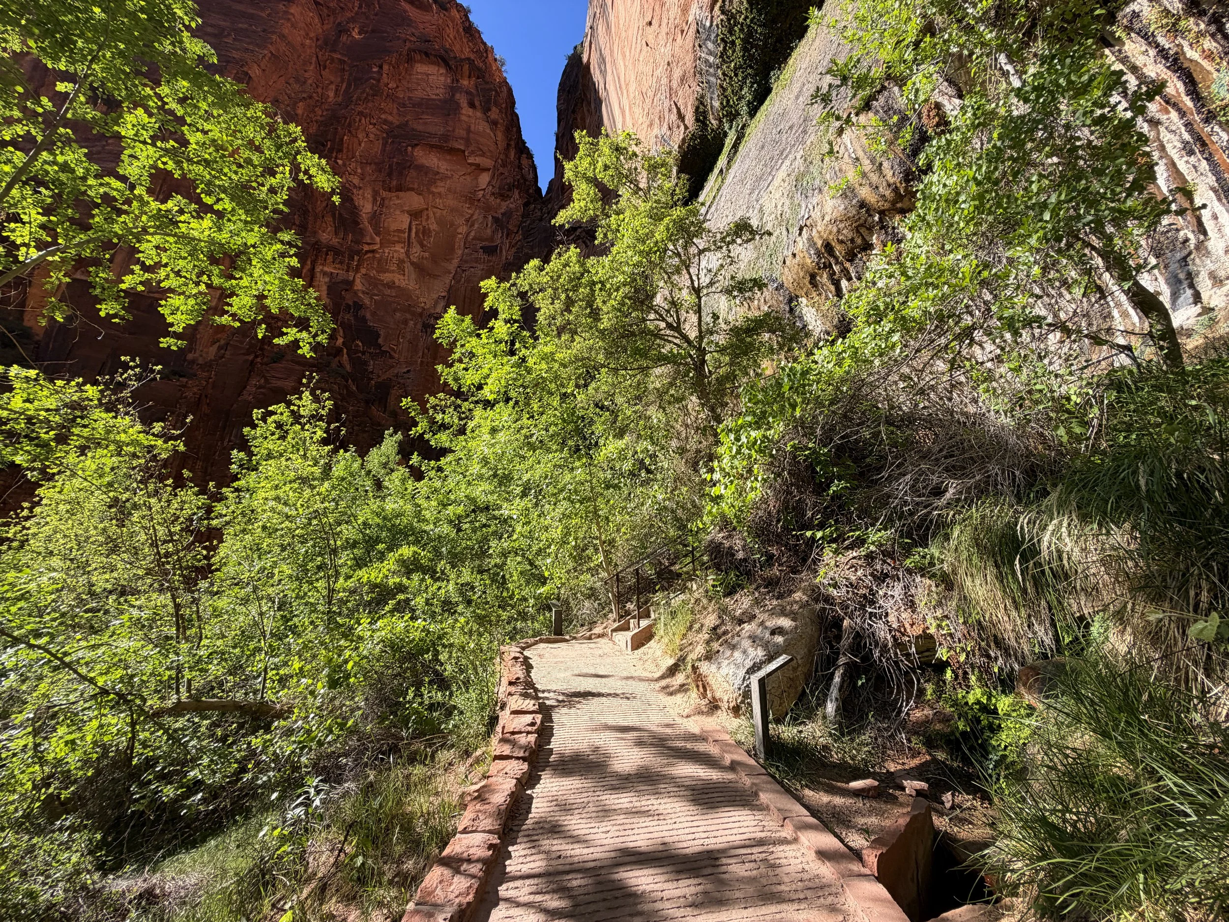 Weeping Rock Trail Zion National Park Utah