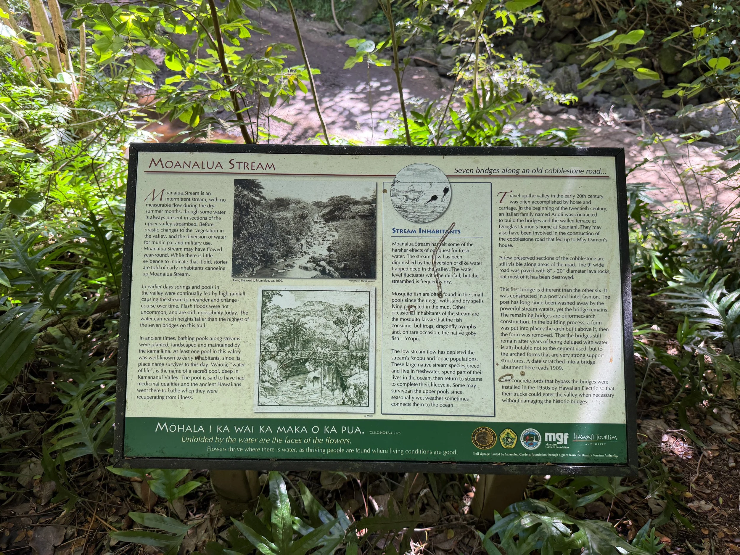 Tripler Ridge Trail via Moanalua Valley Oahu Hawaii