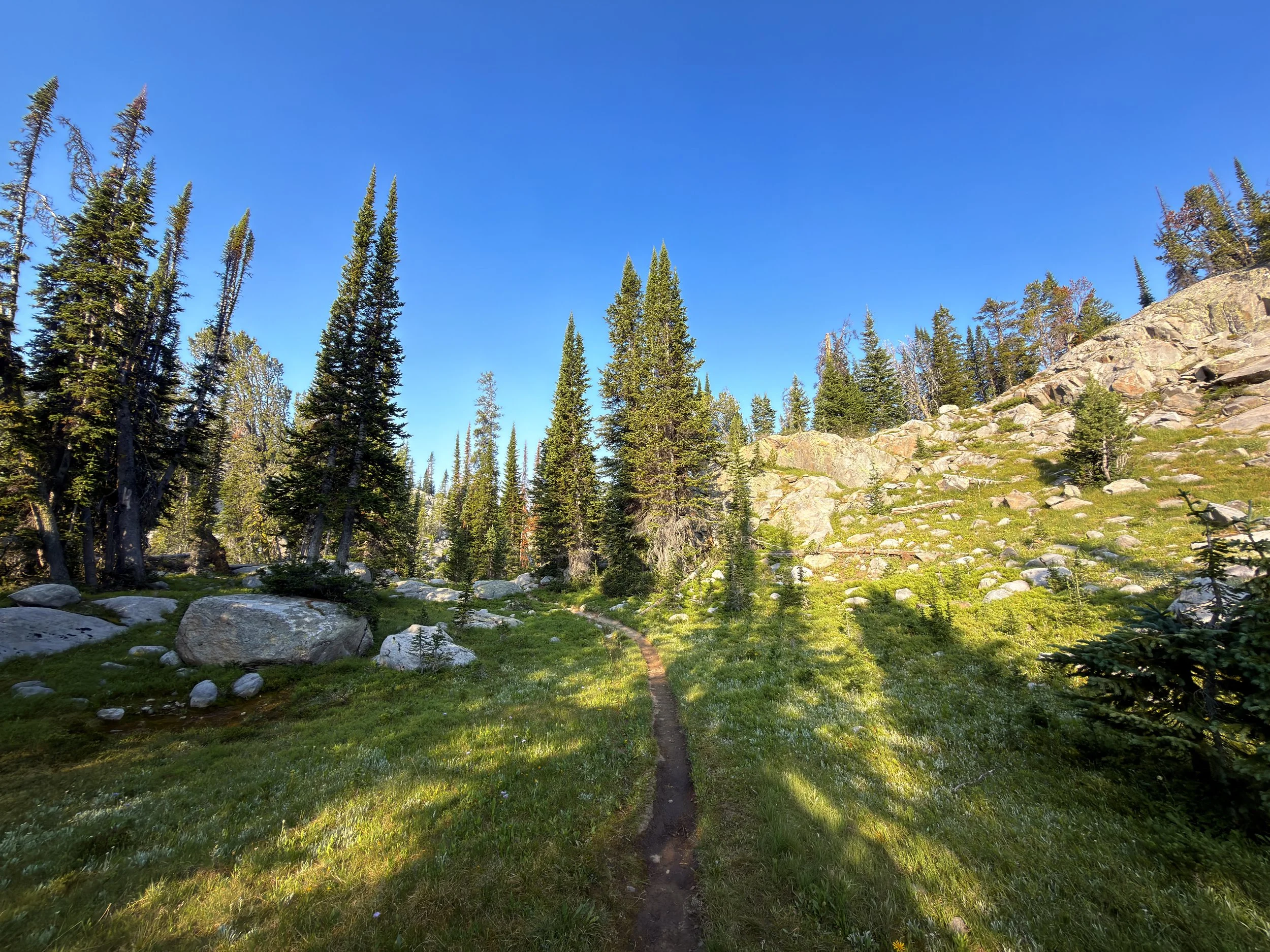Beaten Path Trail Beartooth Mountains Montana