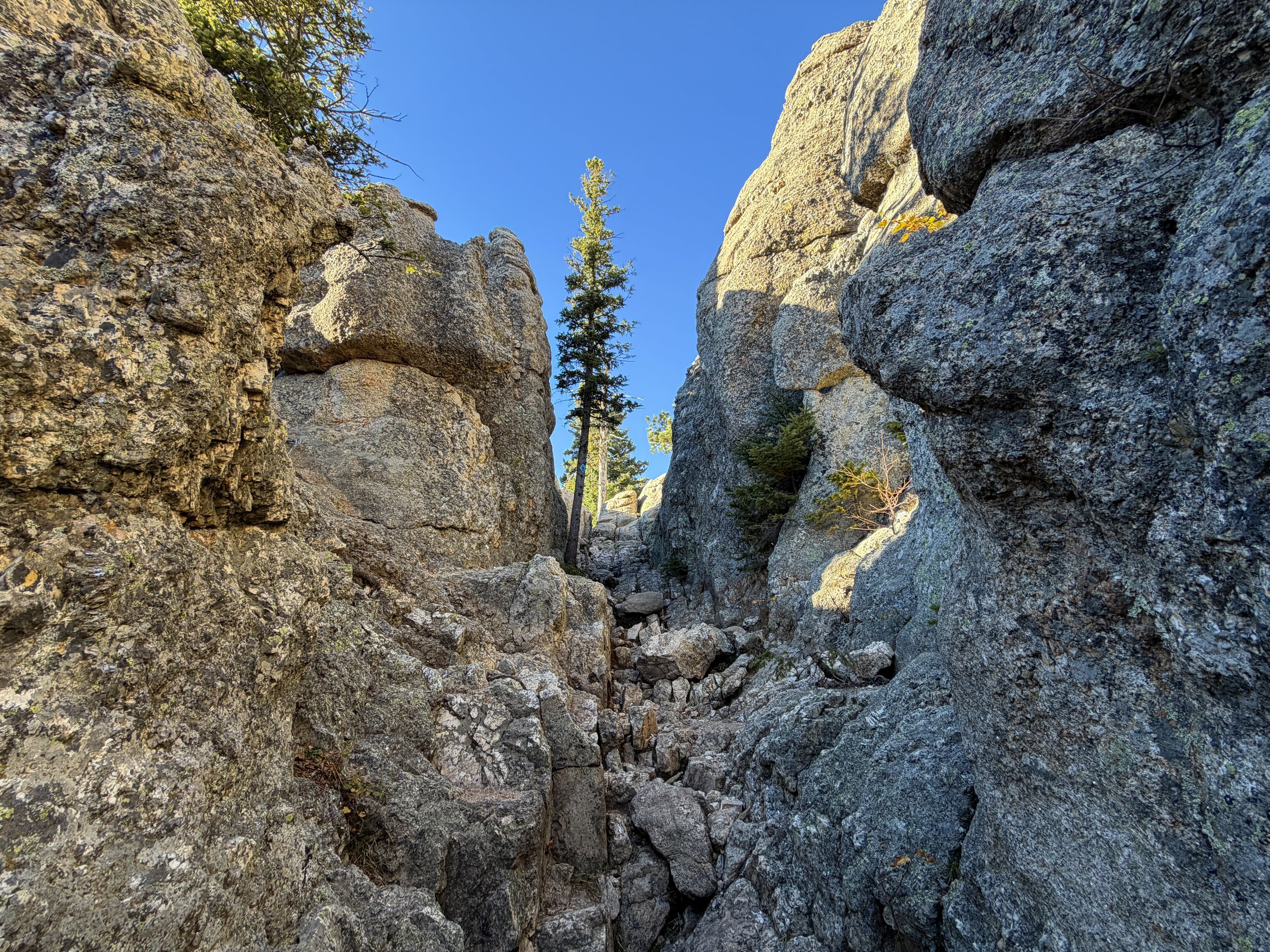 Little Devils Tower Trail Scrambling Custer State Park Black Hills South Dakota