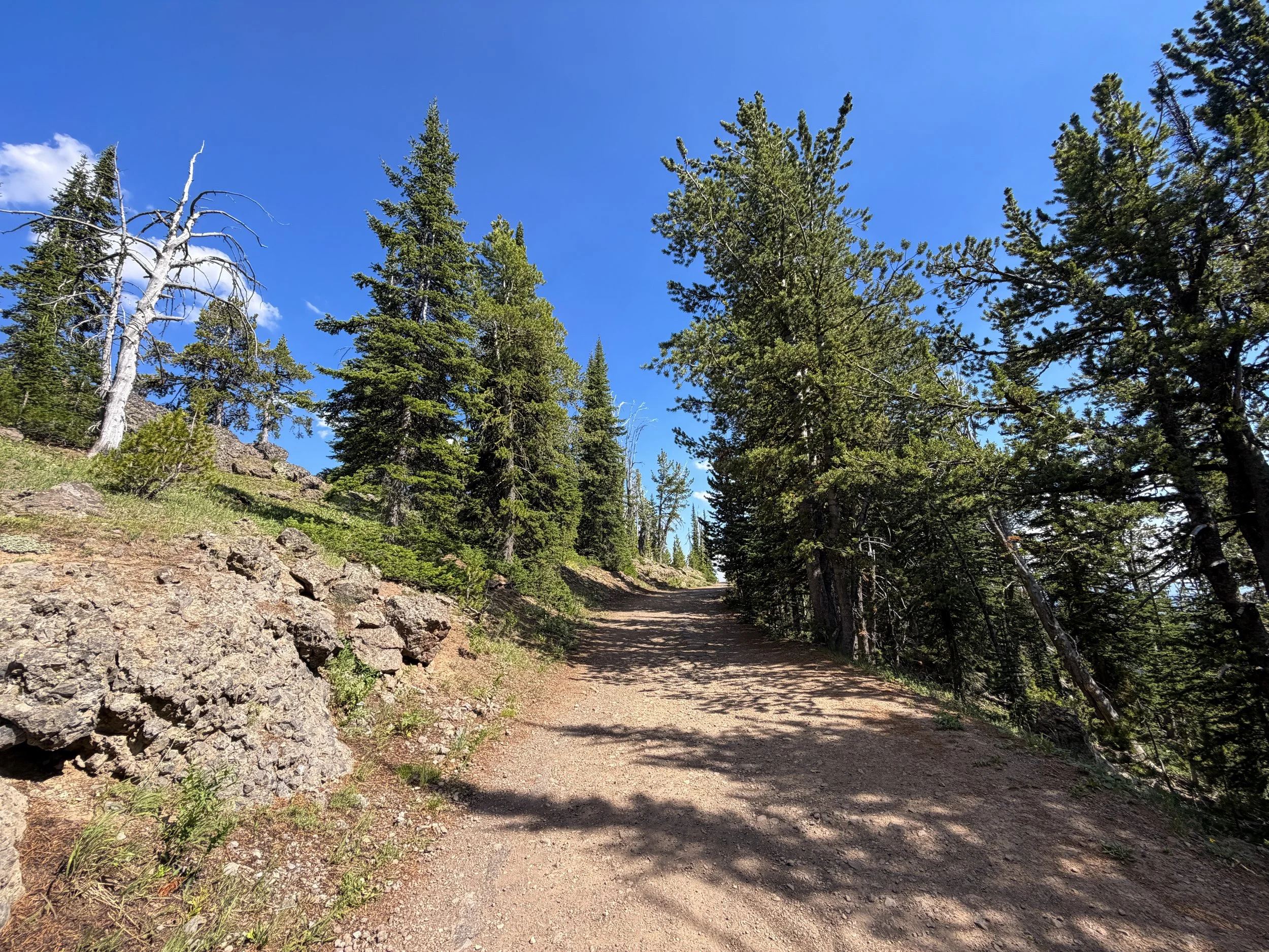 Mt. Washburn Trail via Dunraven Pass Yellowstone National Park Wyoming