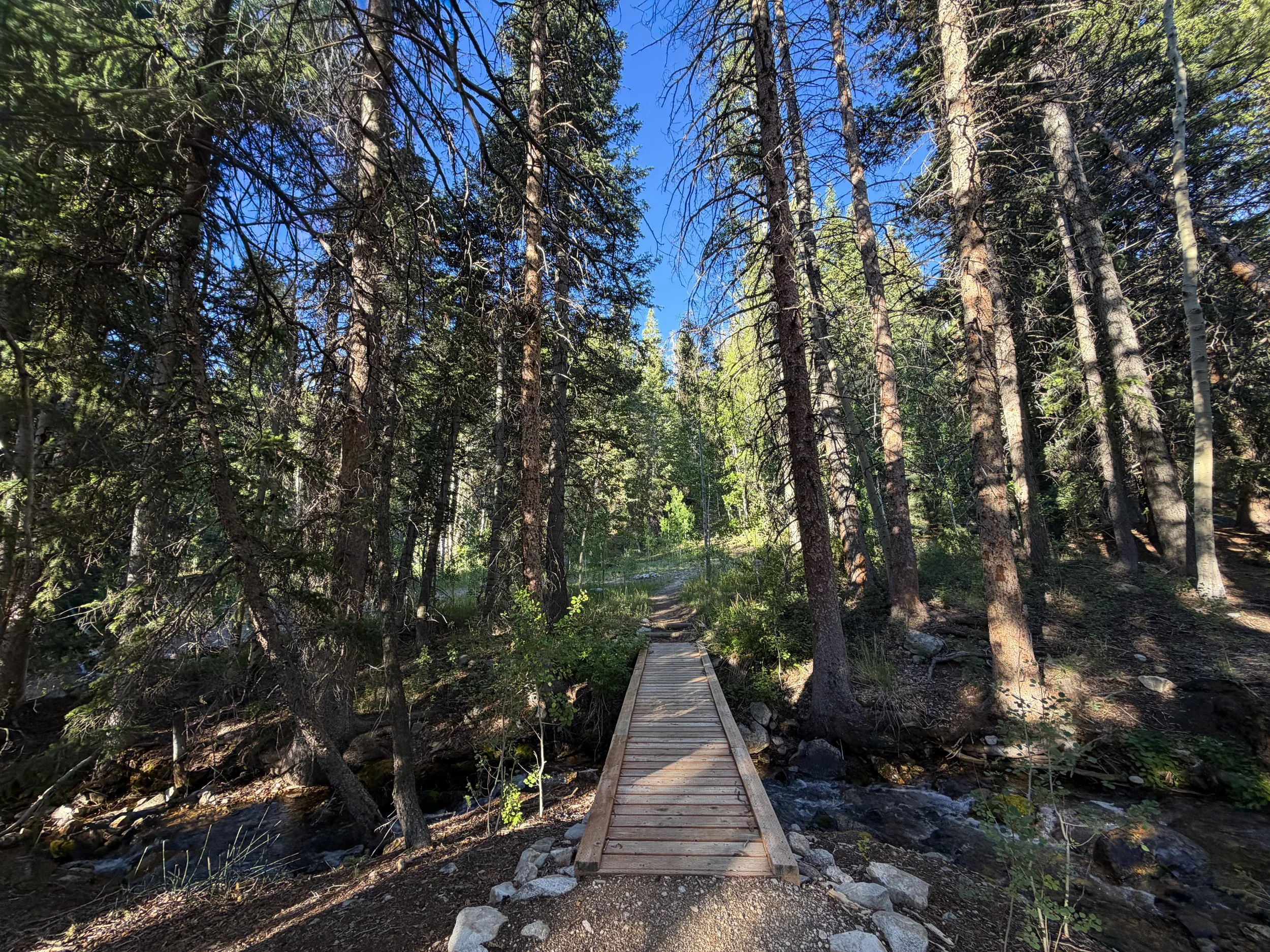 Snake Creek Overlook Trail Great Basin National Park Nevada