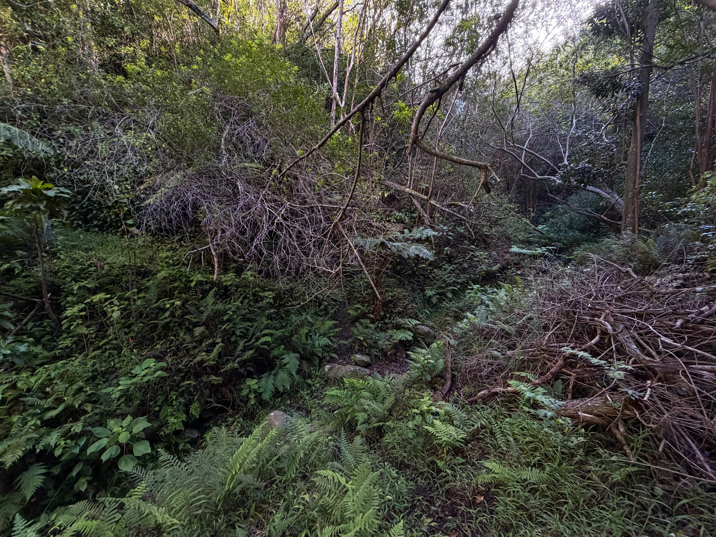 Mokuleia Trail Oahu Hawaii