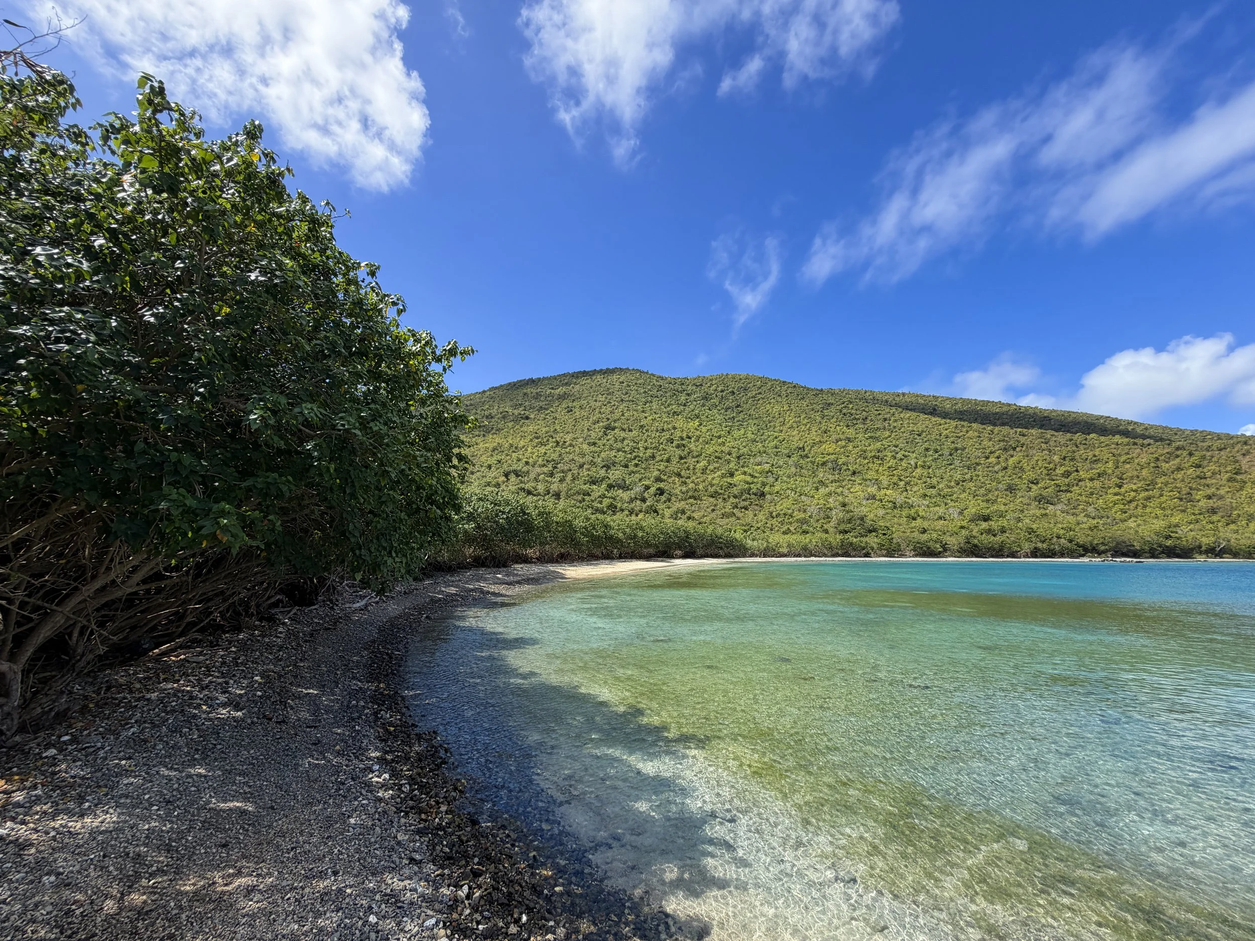 Waterlemon Bay Johnny Horn Trail Virgin Islands National Park