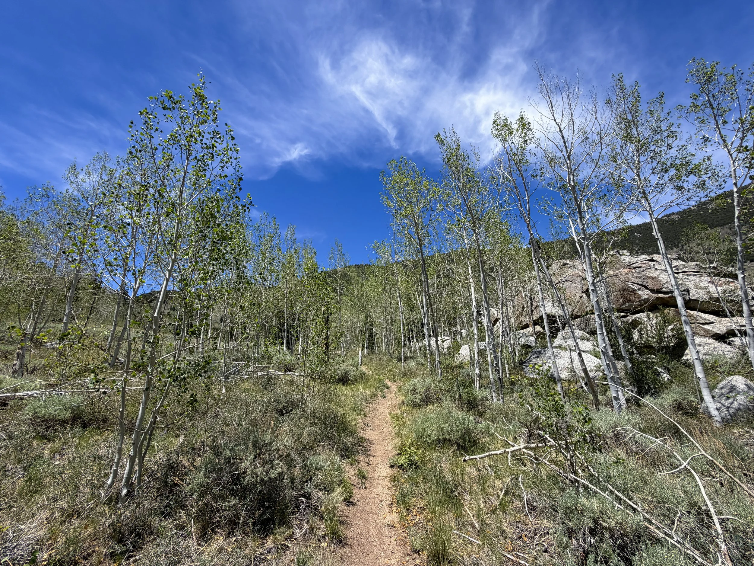 Serviceberry Loop Trail Great Basin National Park Nevada