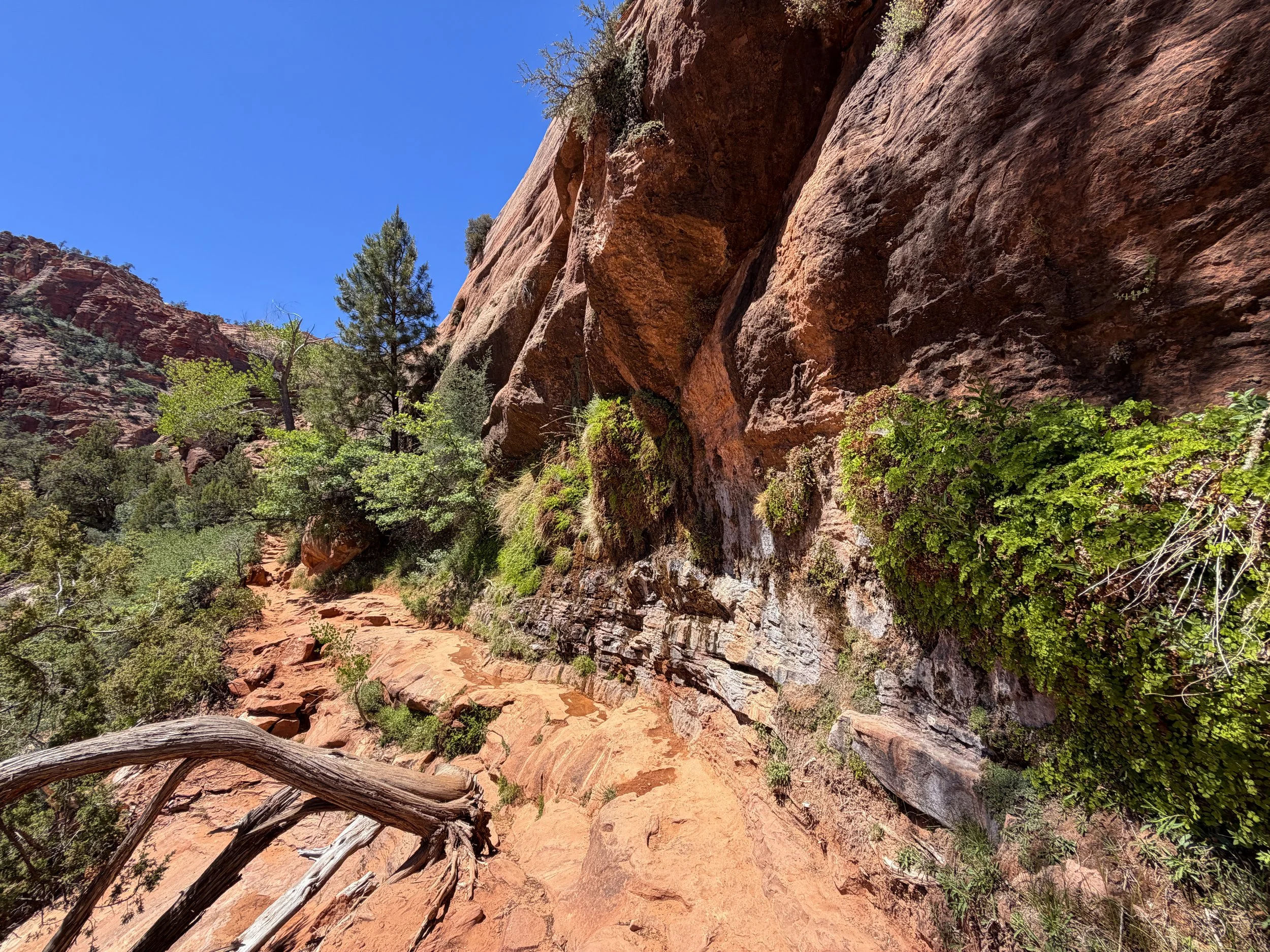 Zion Canyon Overlook Trail Zion National Park Utah