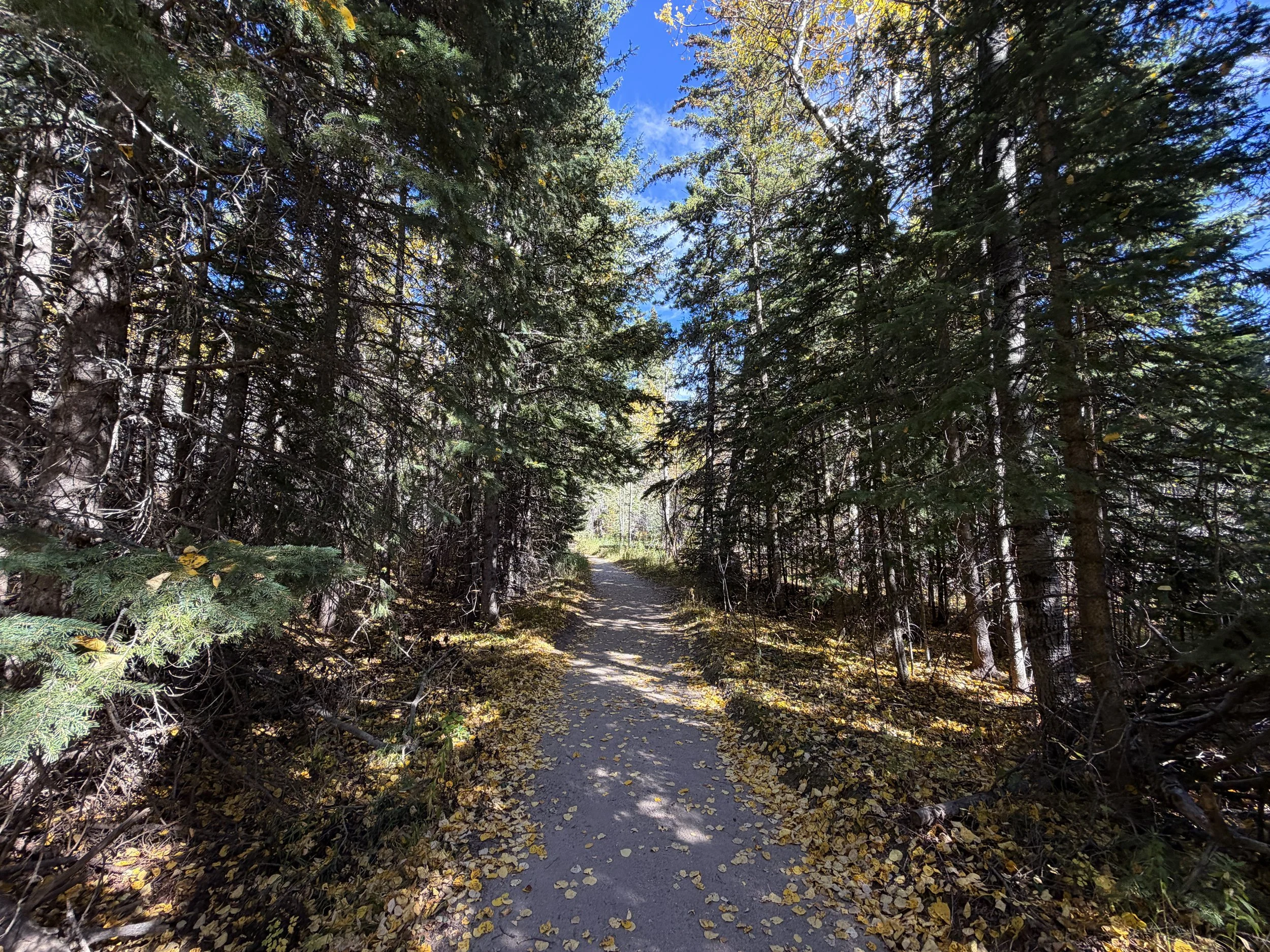 Black Elk Peak via Trail 9 Black Hills South Dakota