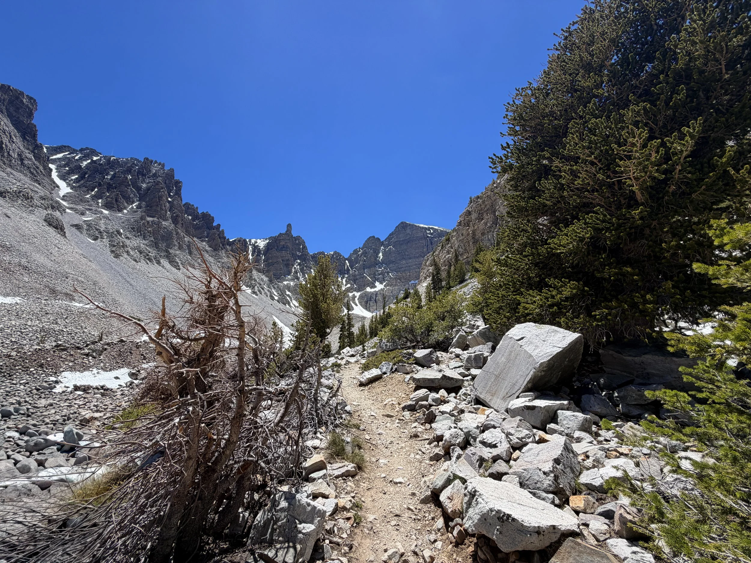 Glacier Trail Great Basin National Park Nevada