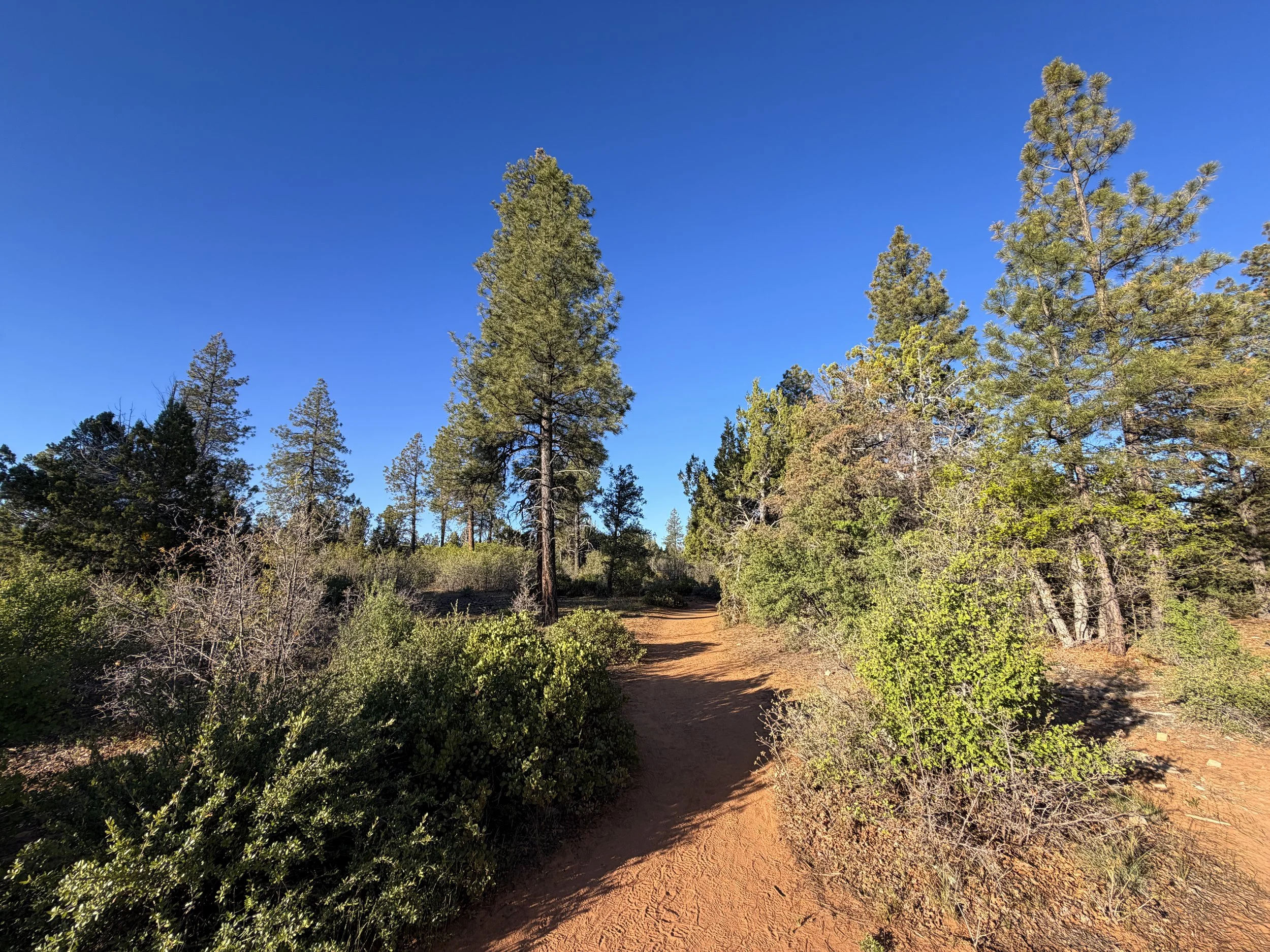 East Mesa Trail to Observation Point Zion National Park Utah