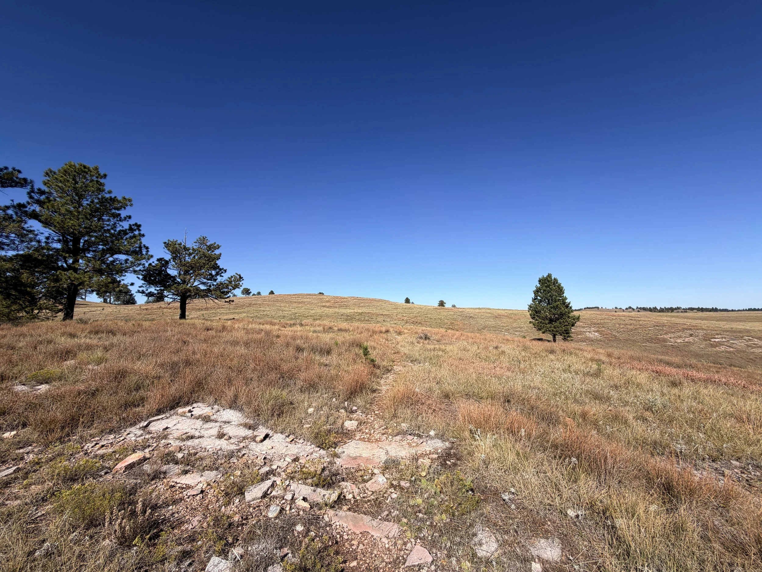 East Bison Flats Hike Wind Cave National Park South Dakota