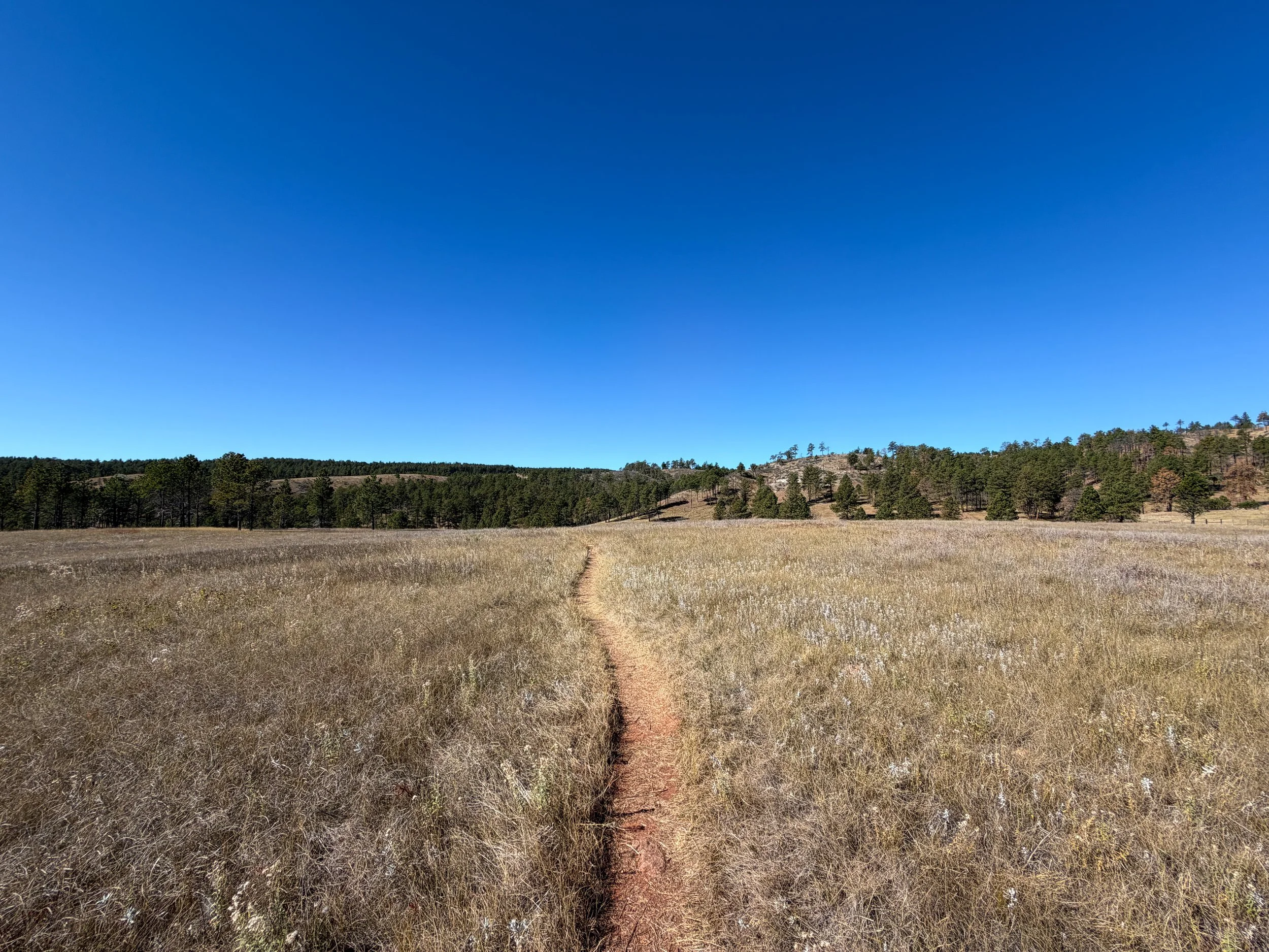Elk Mountain Loop Trail Wind Cave National Park South Dakota