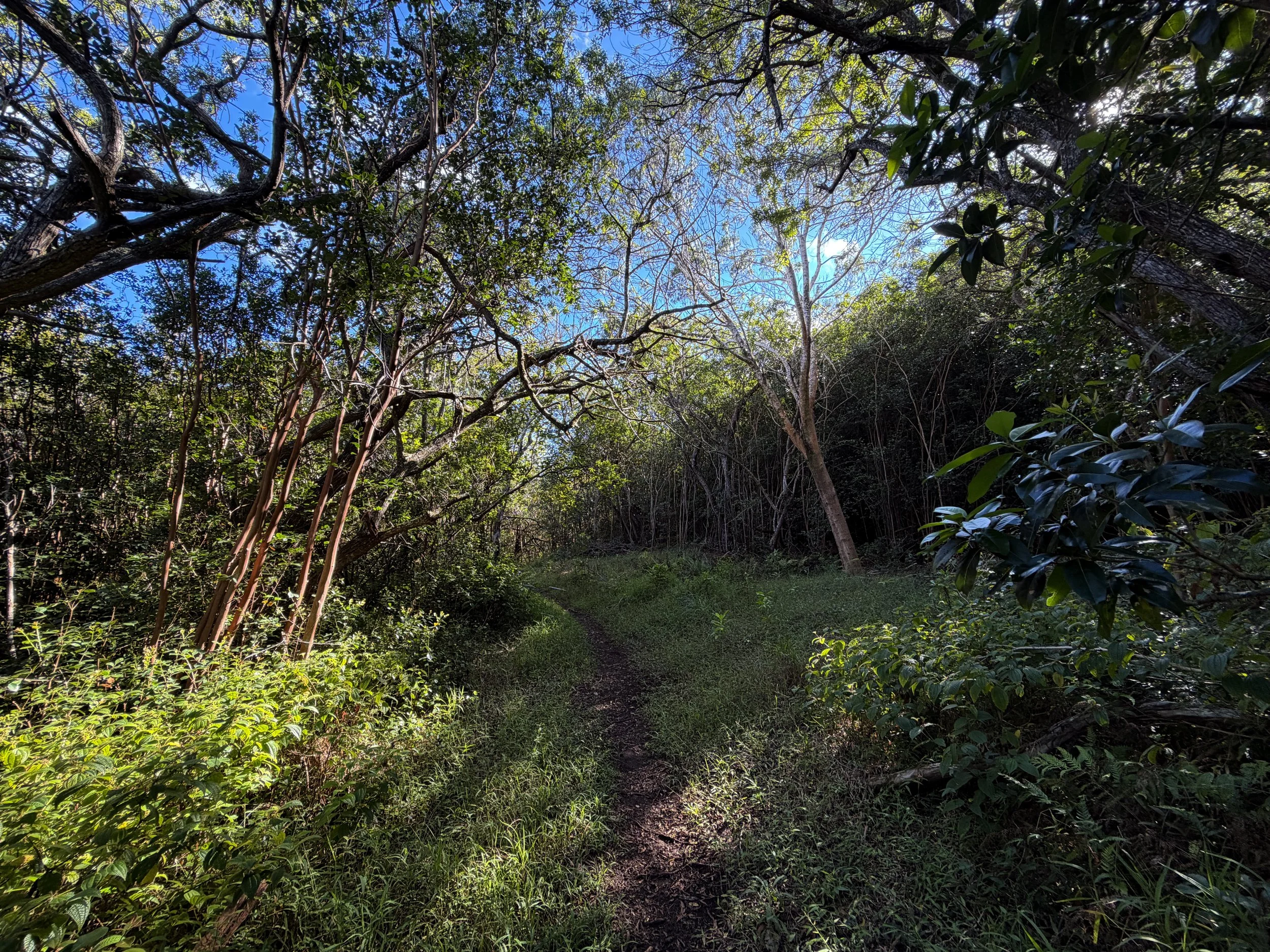 Mokuleia Trail Oahu Hawaii
