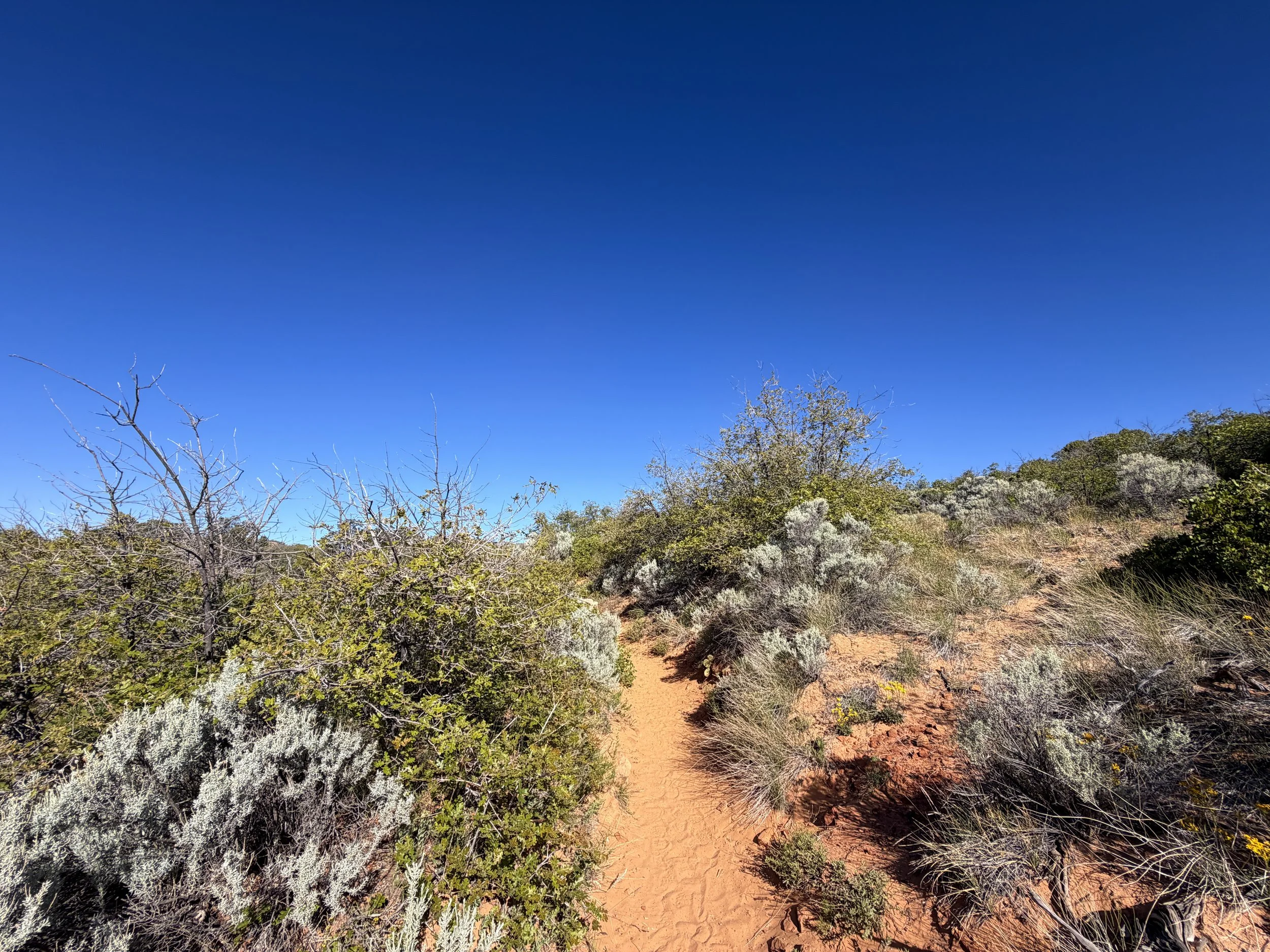 Observation Point Trail Zion National Park Utah
