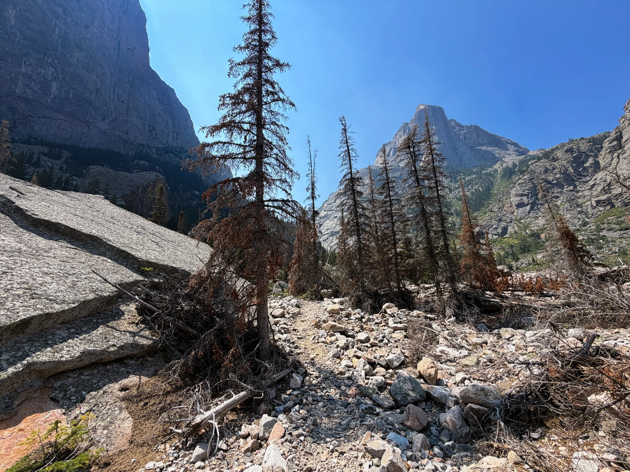 East Rosebud Trail Beaten Path Beartooth Mountains Montana