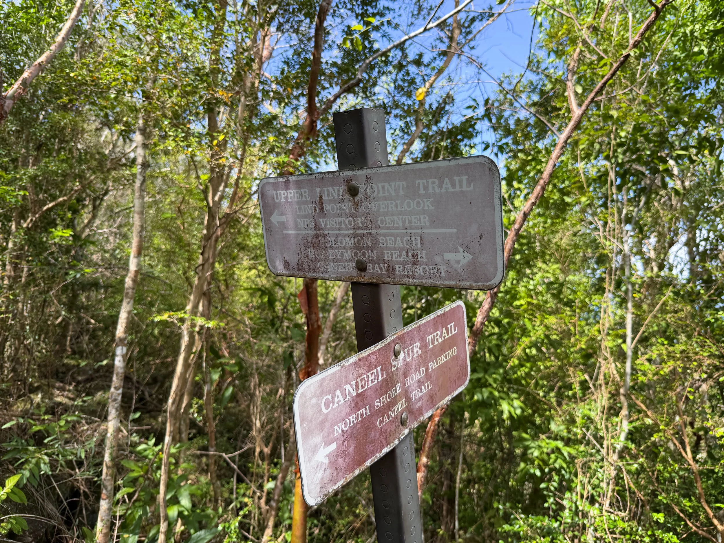 Upper Lind Point Trail Virgin Islands National Park