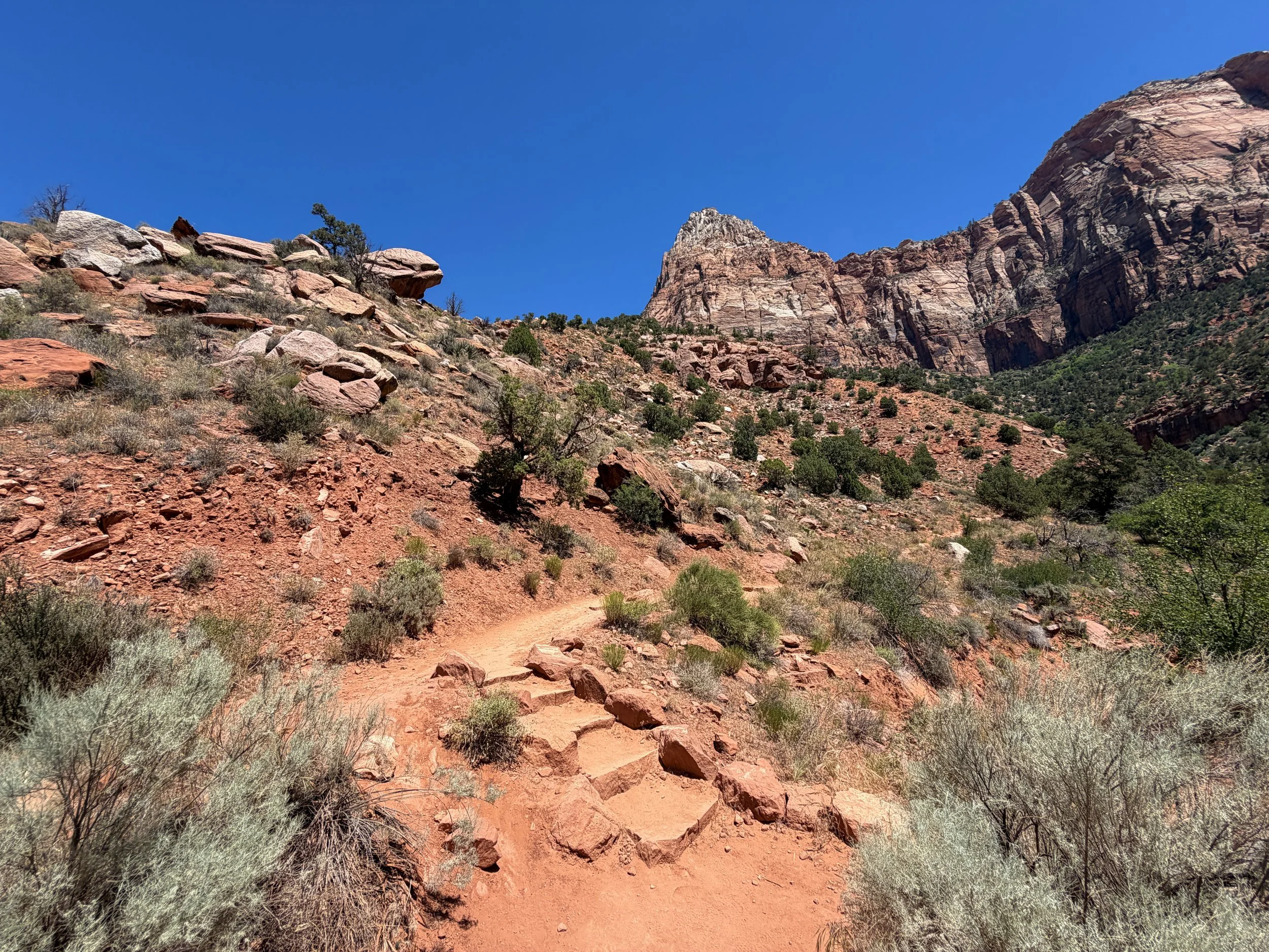 Watchman Hike Zion National Park Utah